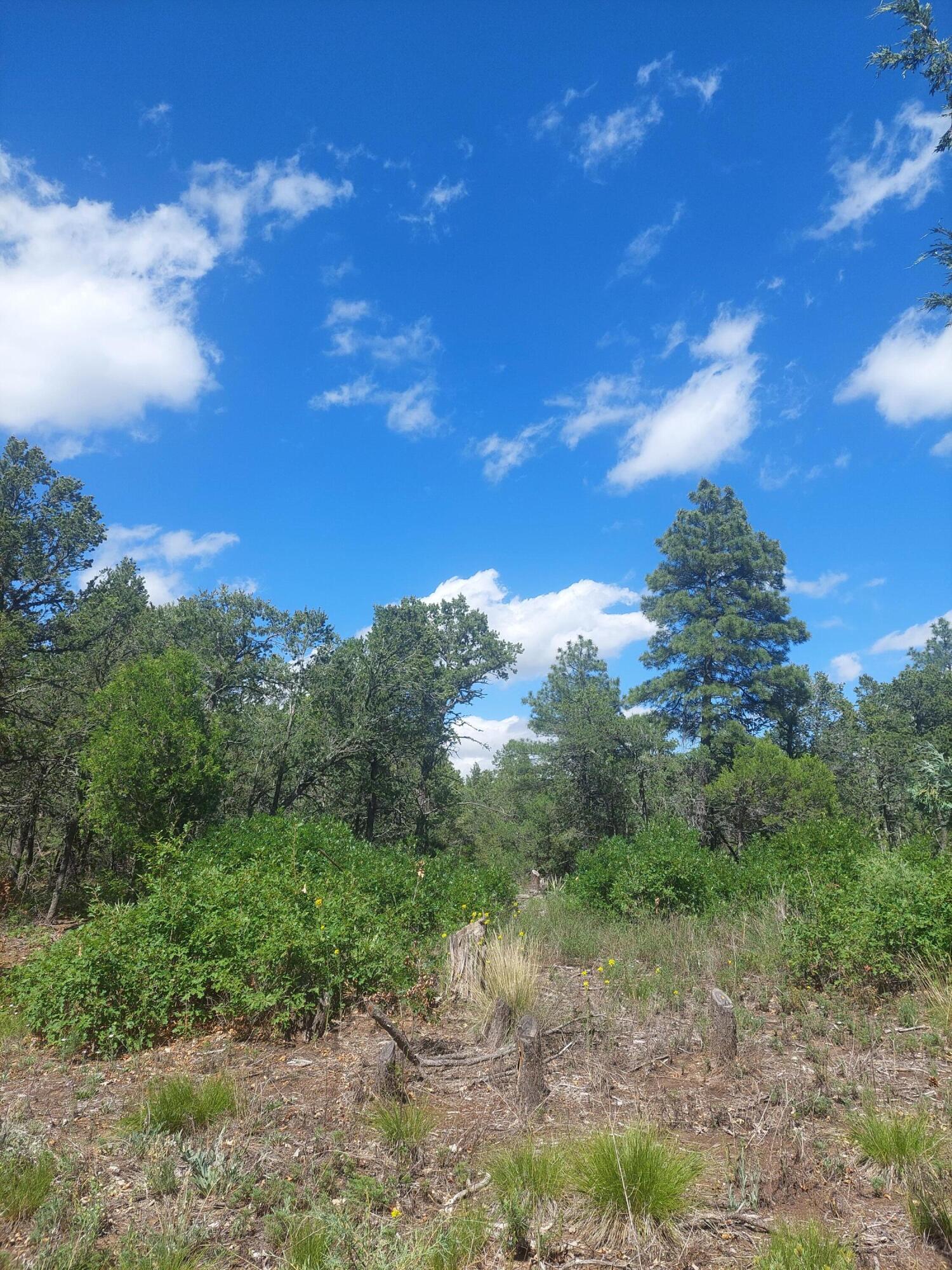 16 Secret Pines Court