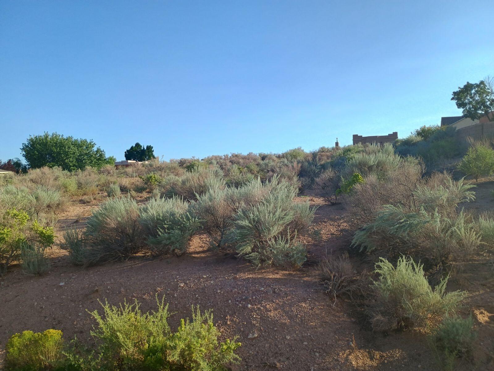 5540 Laredo Road NE 17