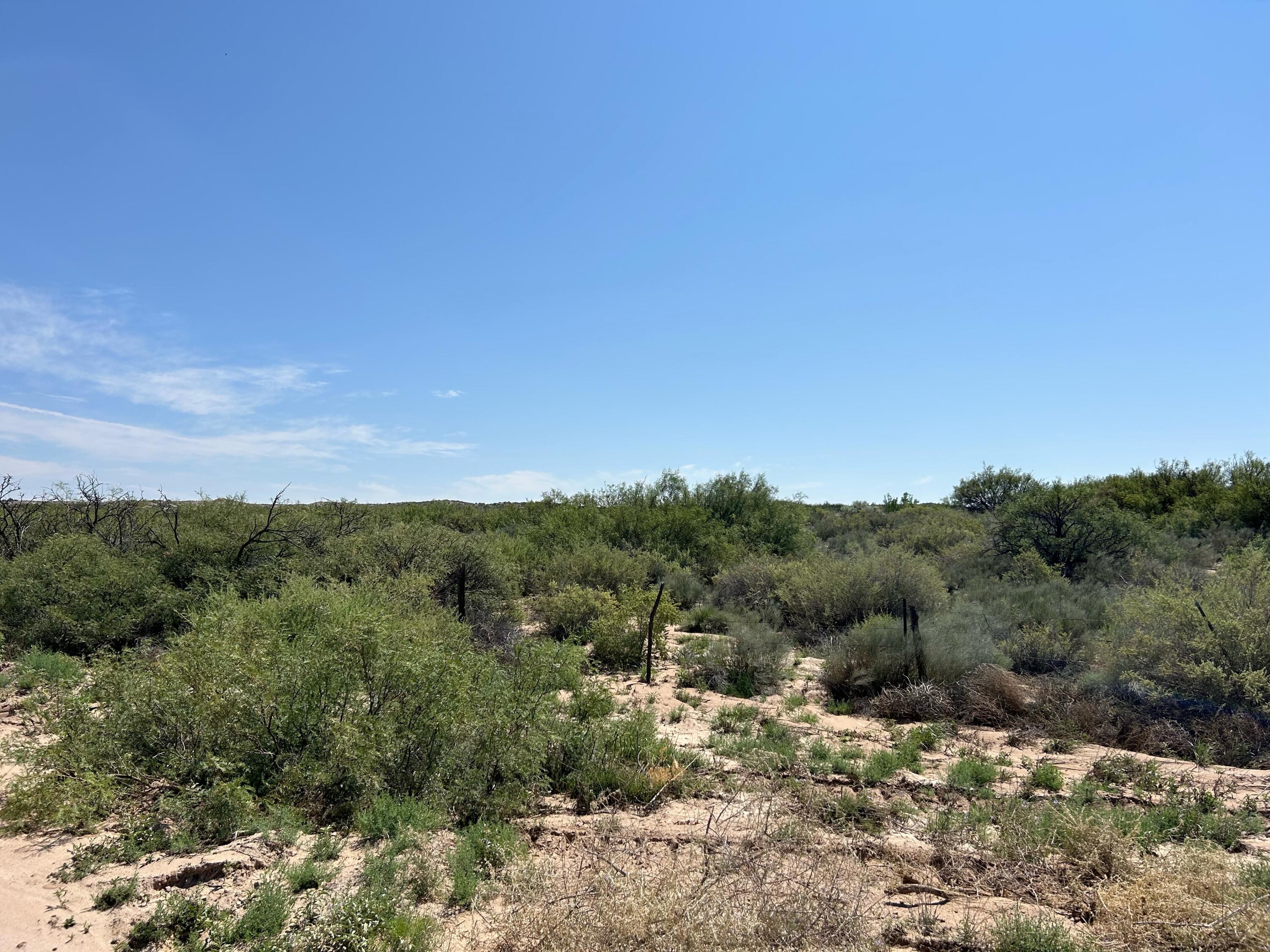 Land East On Bosquecito Street