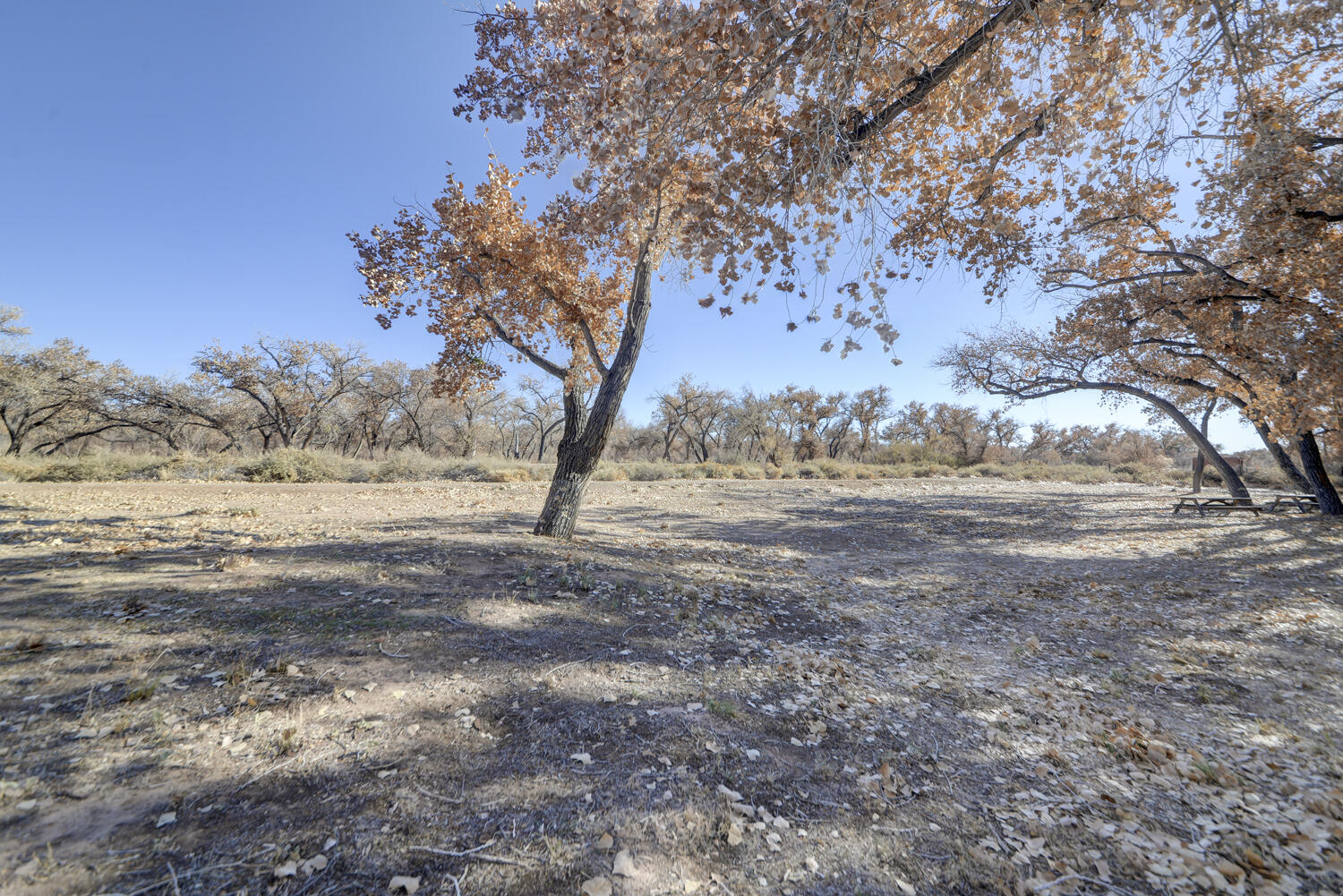 3500 Setaria Road NW