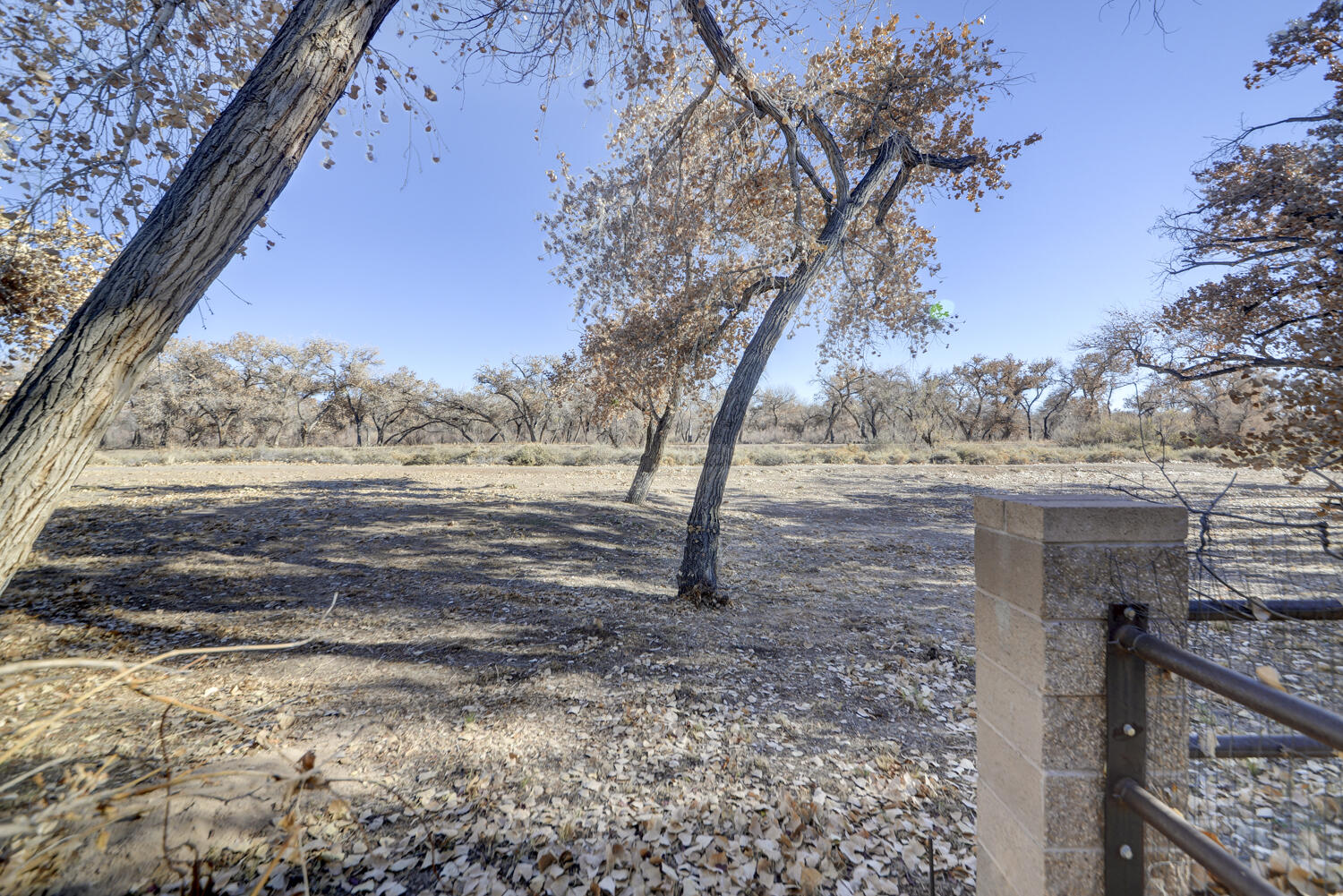 3500 Setaria Road NW