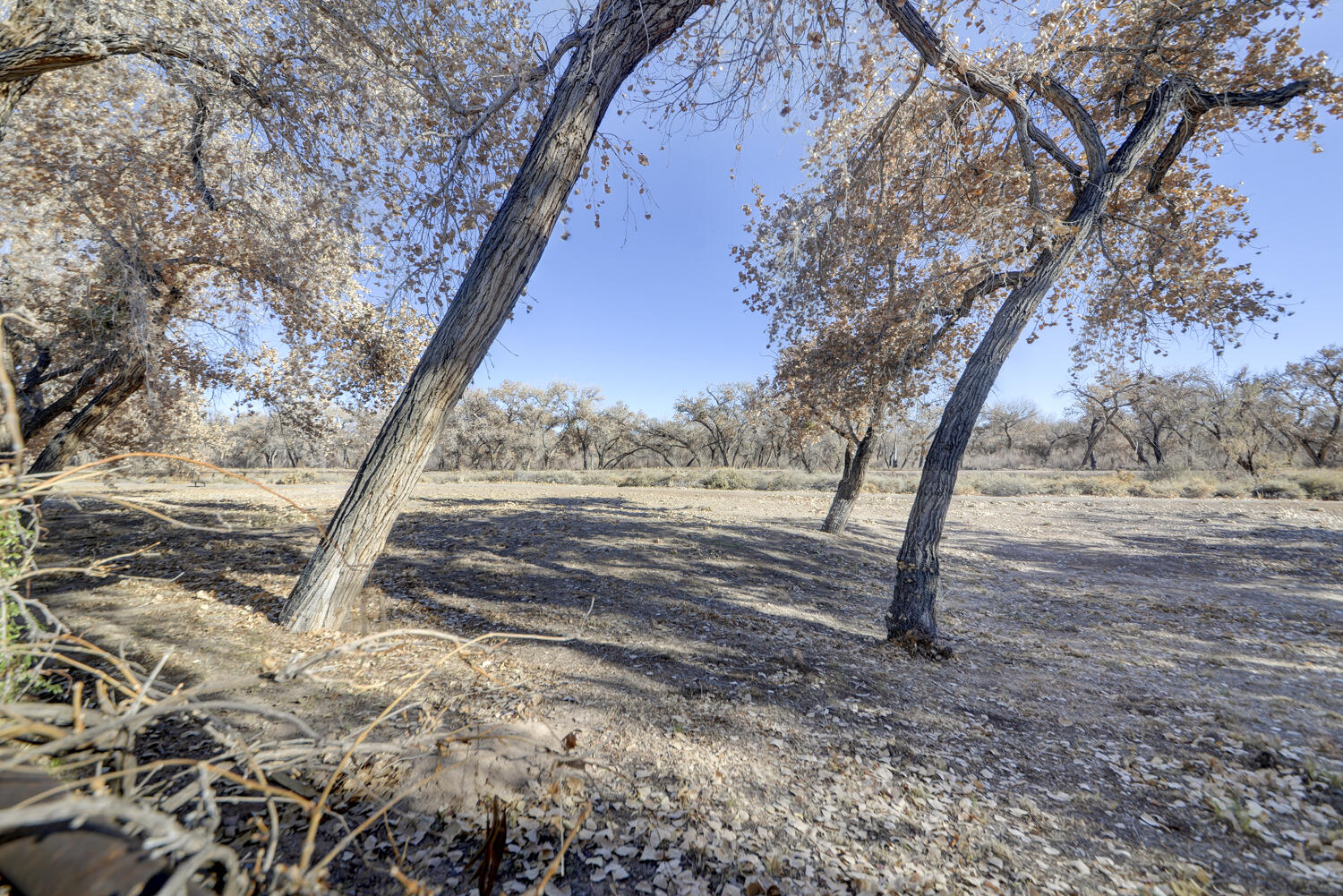 3500 Setaria Road NW