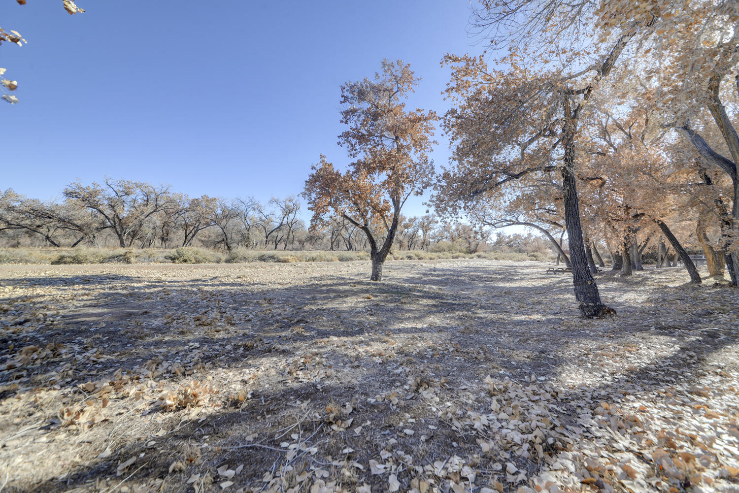 3500 Setaria Road NW