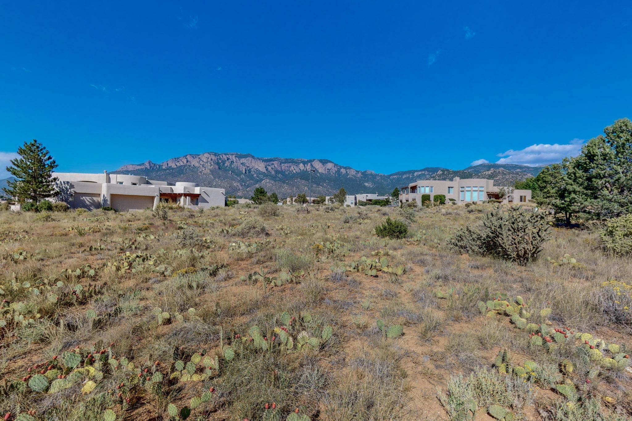 6105 Club Cholla Court NE