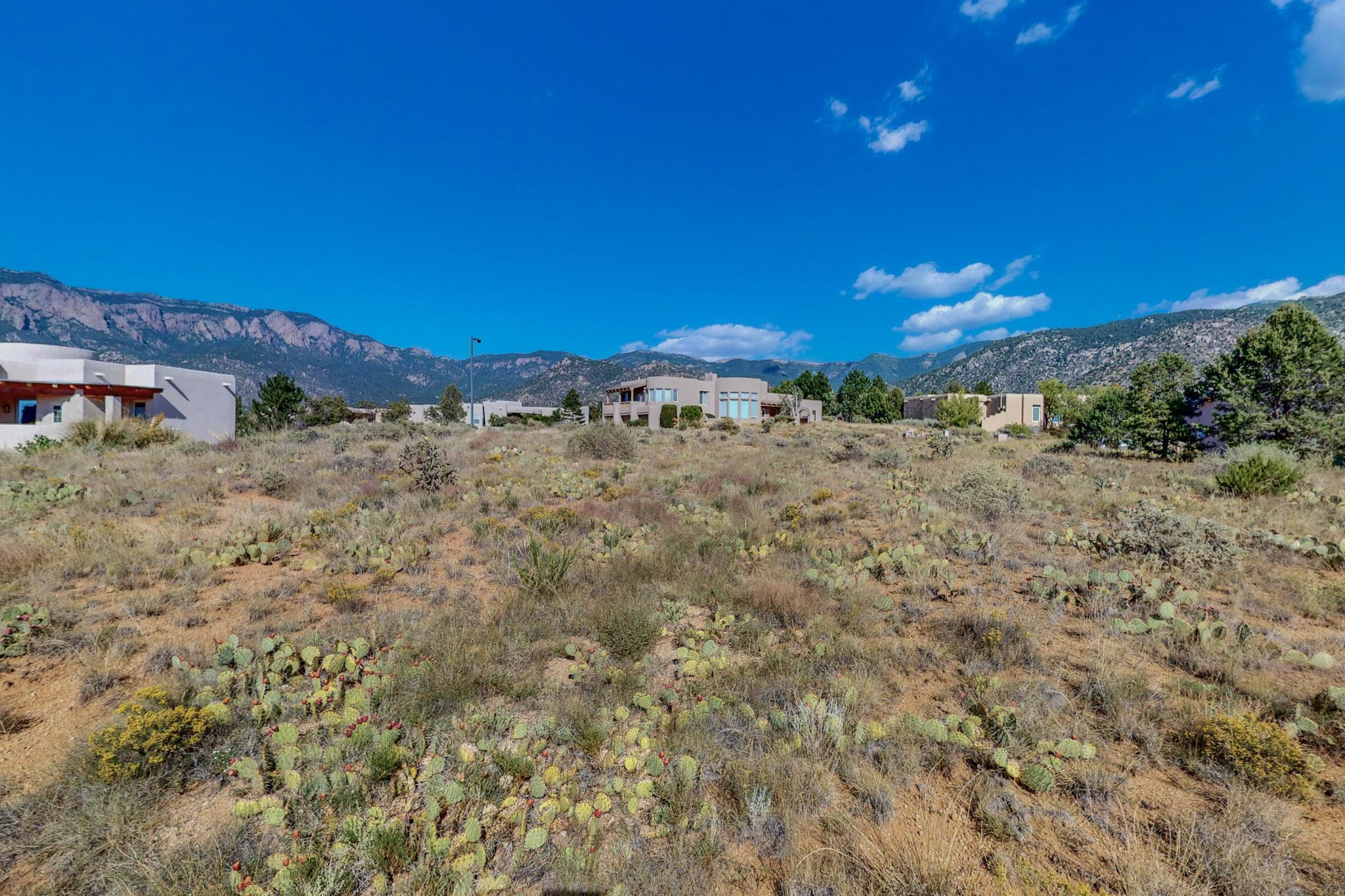 6105 Club Cholla Court NE