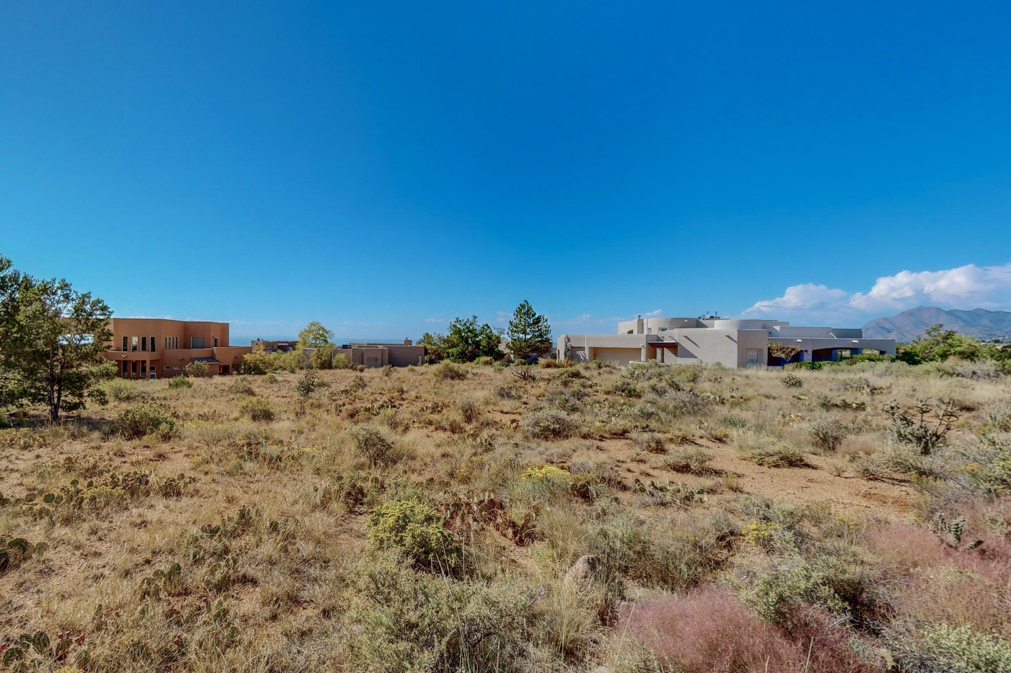 6105 Club Cholla Court NE