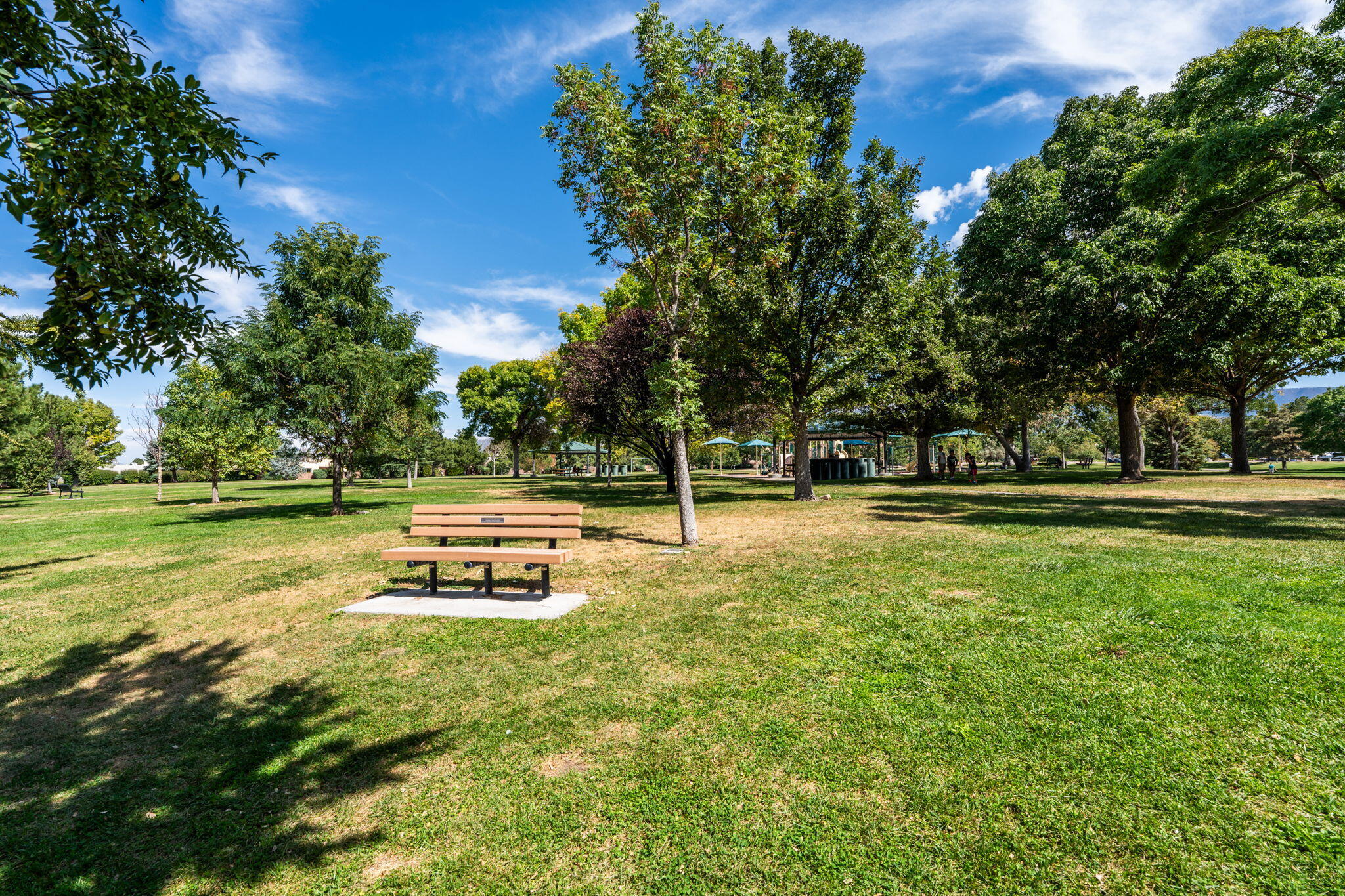 10012 ACADEMY HILLS Drive NE