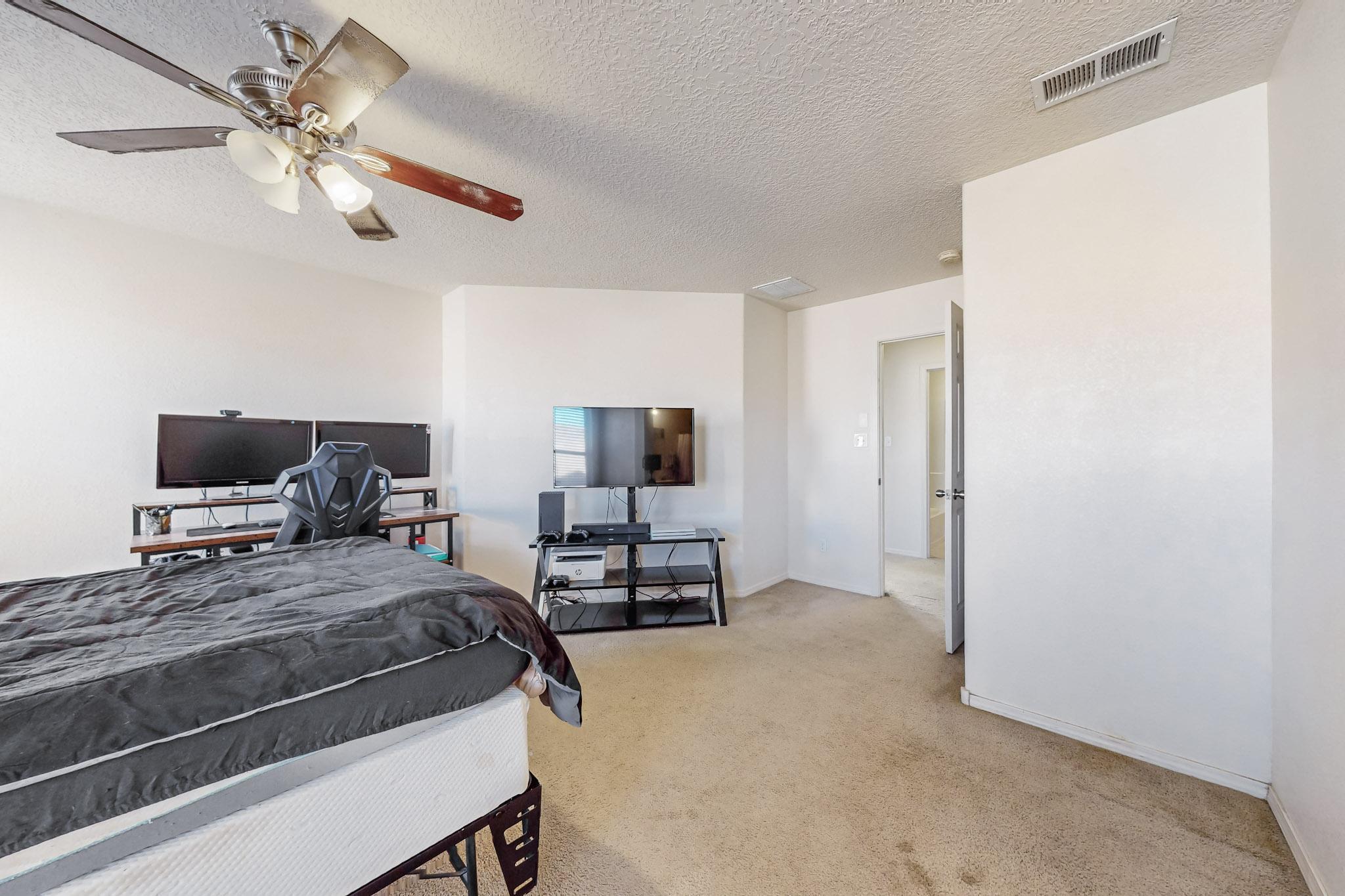 1304 DESERT PAINTBRUSH Loop