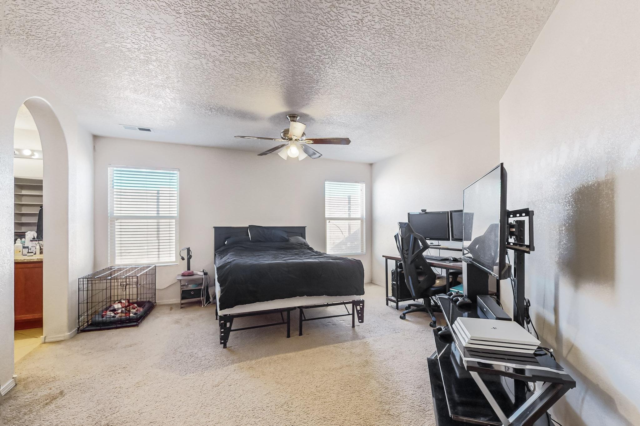 1304 DESERT PAINTBRUSH Loop