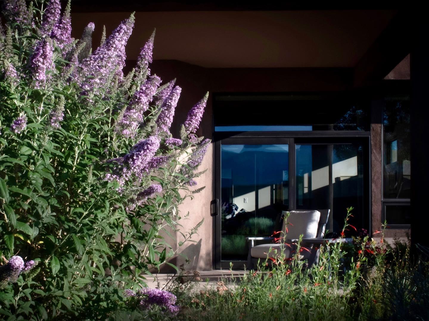 8 ANASAZI MEADOWS Court