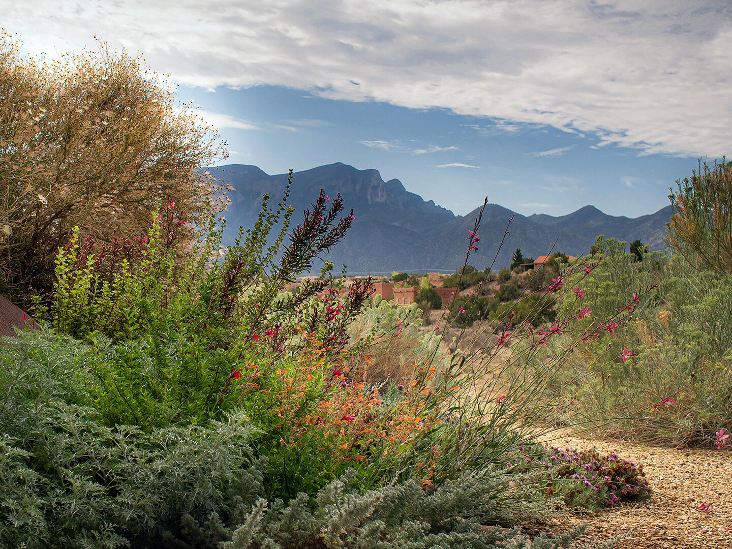 8 ANASAZI MEADOWS Court