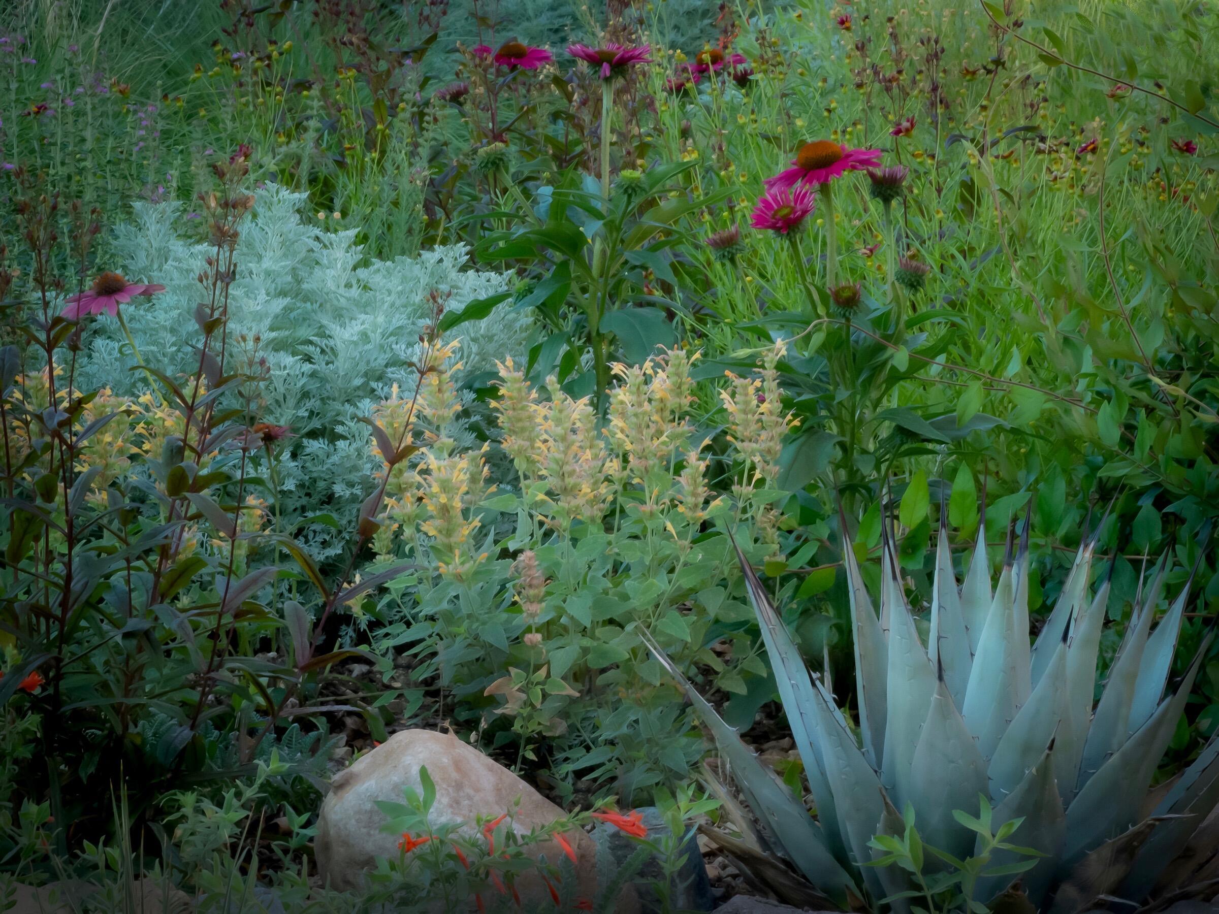 8 ANASAZI MEADOWS Court