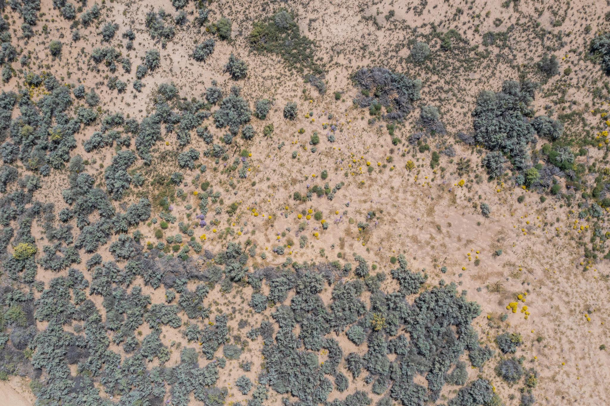 00070 La Ladera Estates-vacant land