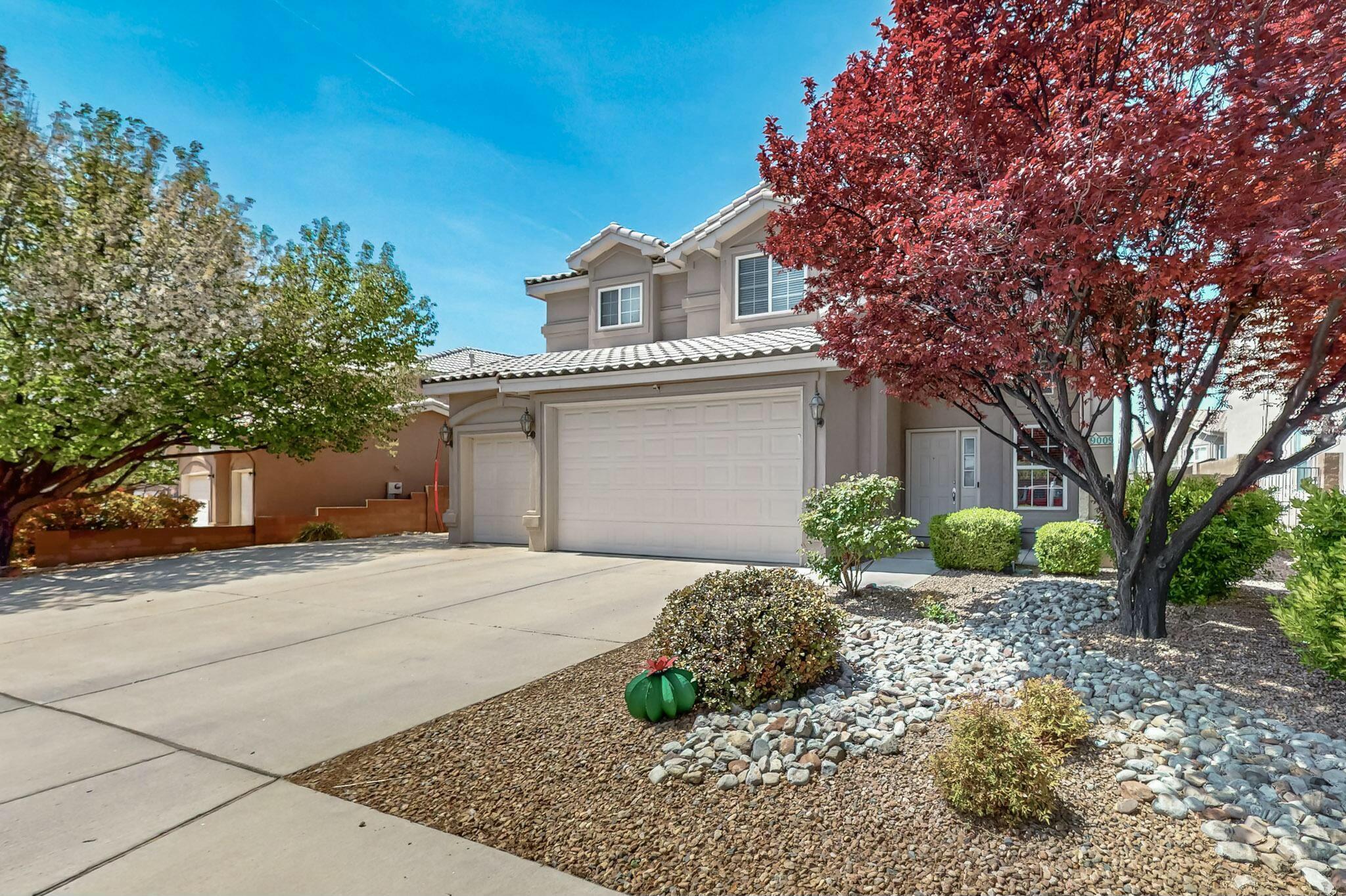 9009 Pinon Vista Court NE