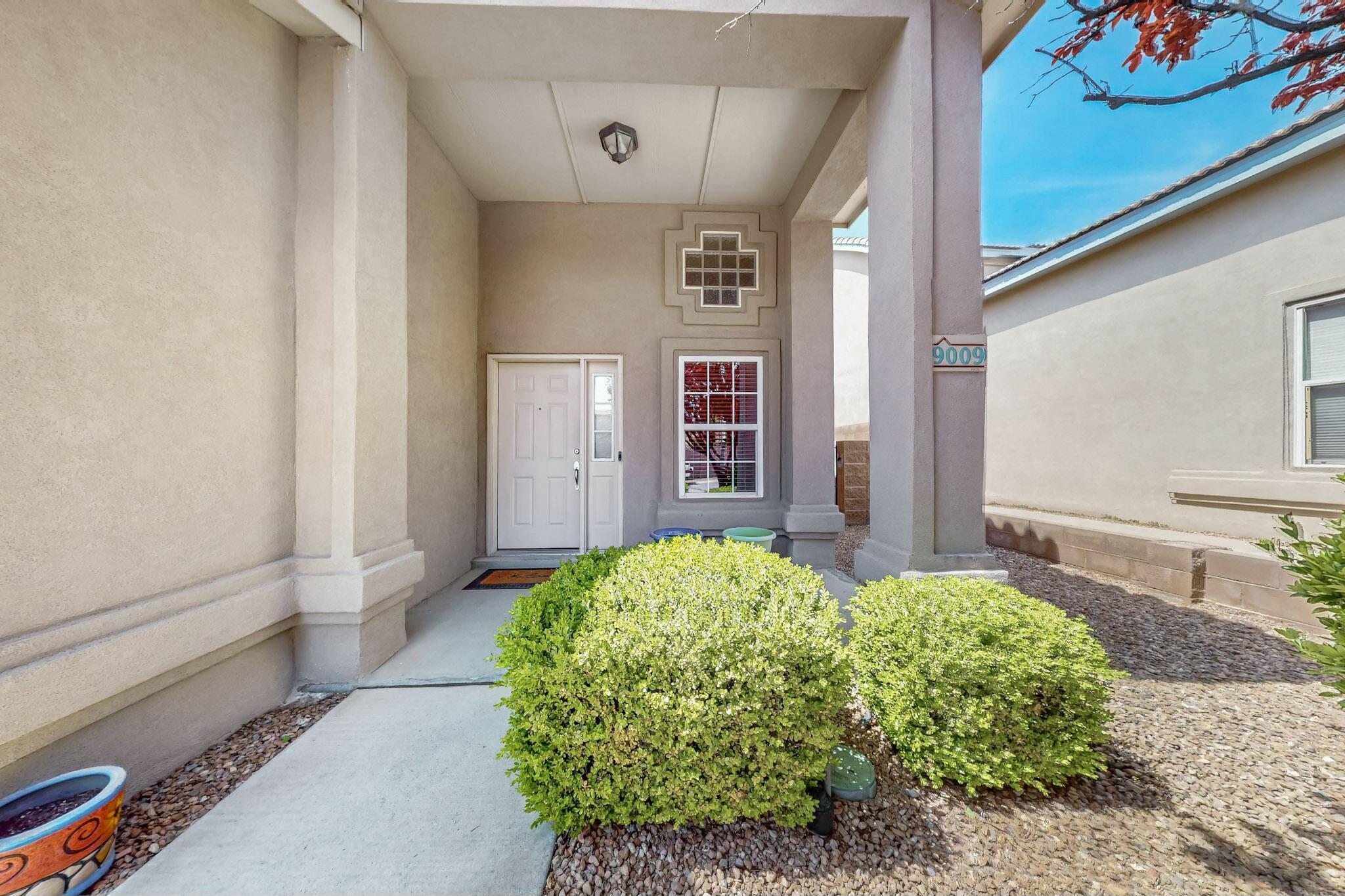 9009 Pinon Vista Court NE