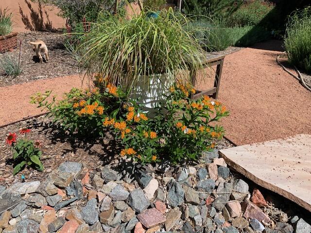 240 Pueblo Solano Road NW