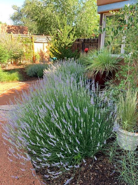 240 Pueblo Solano Road NW