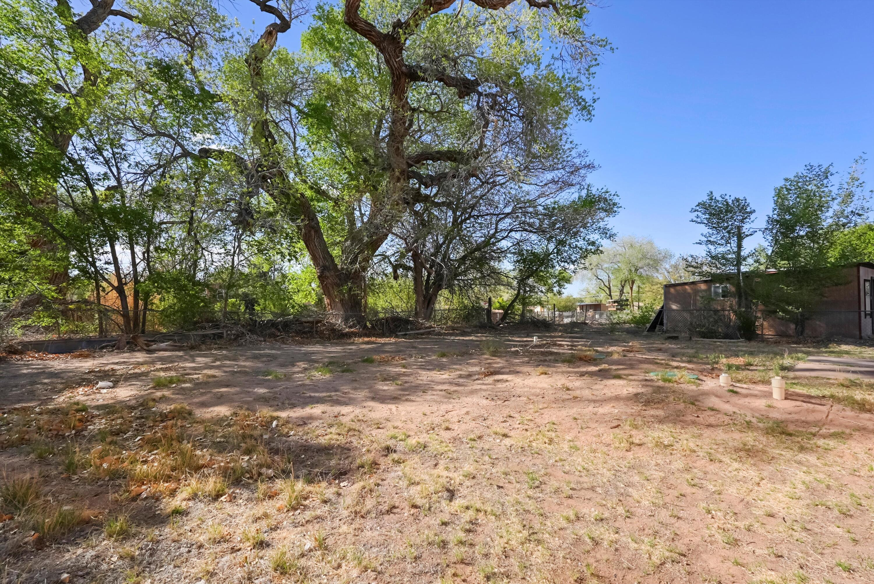 11009 EDITH Boulevard NE