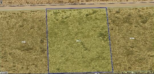 STARRY SKY Avenue NE