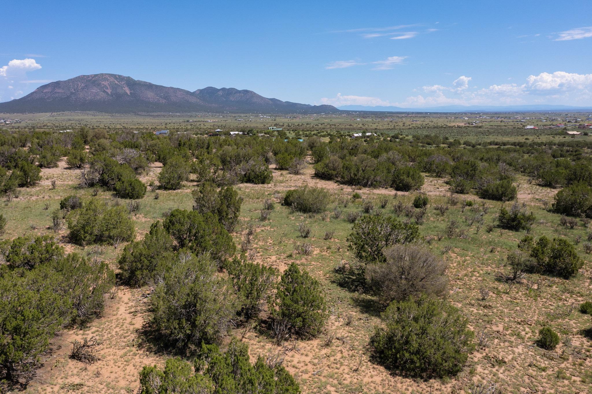 69 Moonlight Meadows