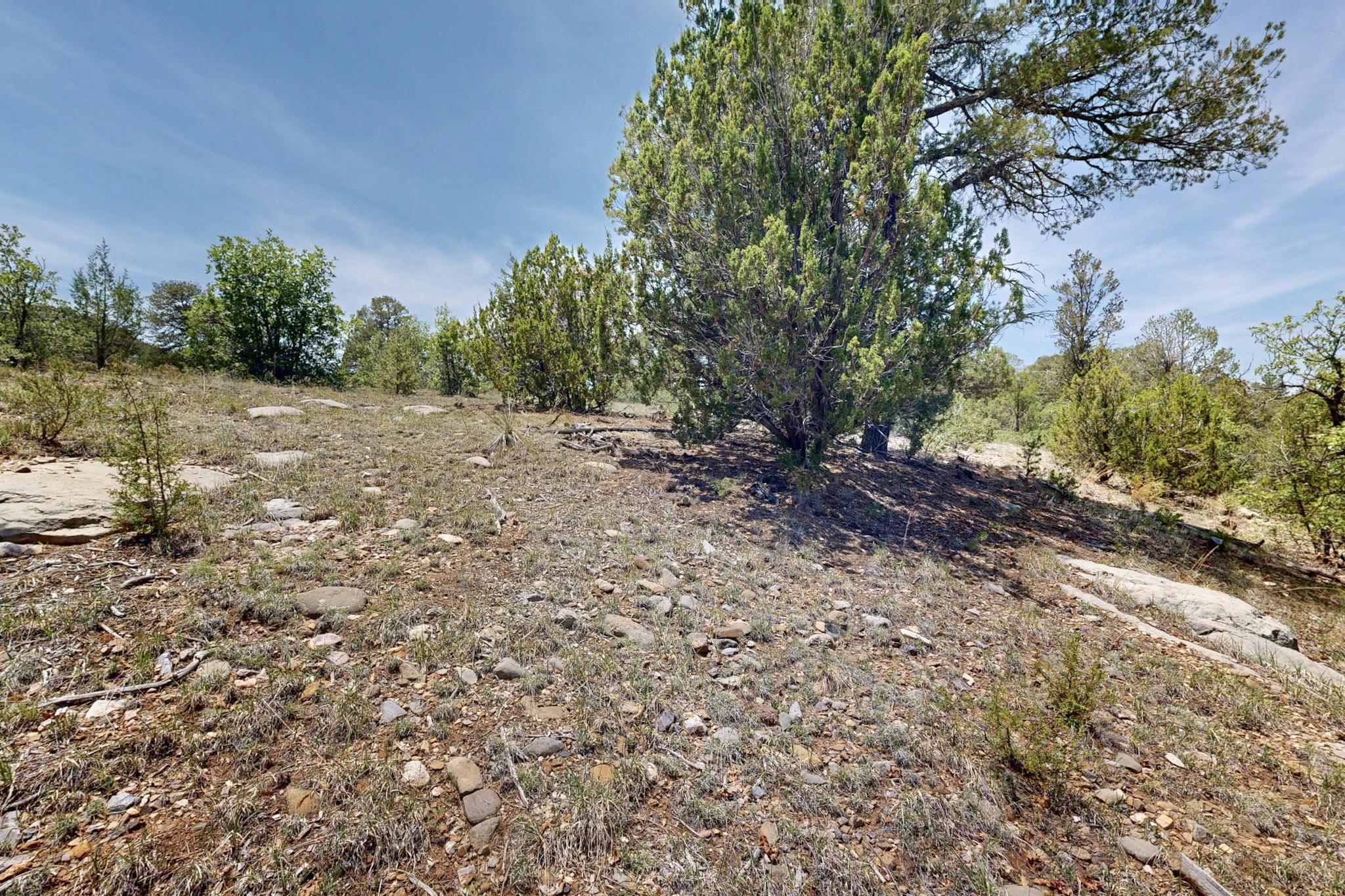 Tract V-A-1 4th of July Road