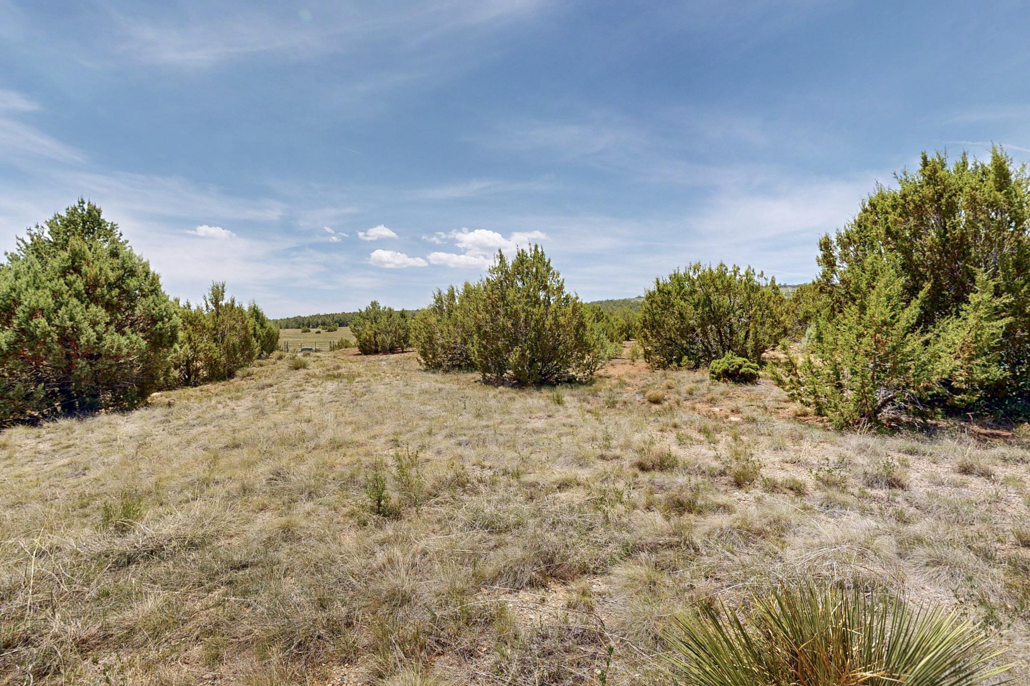 Tract V-A-1 4th of July Road