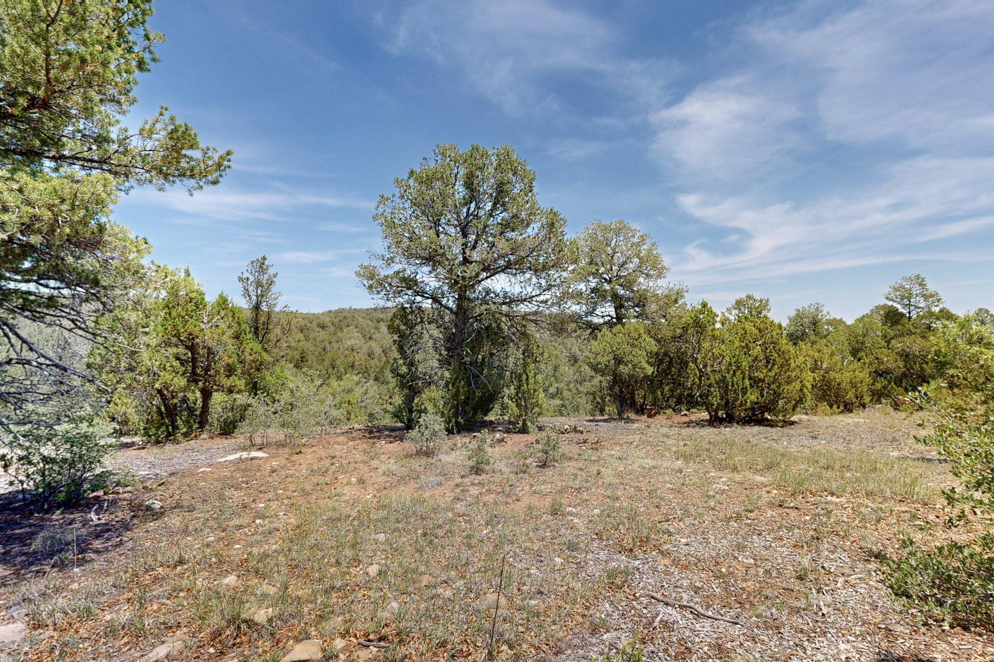 Tract V-A-1 4th of July Road