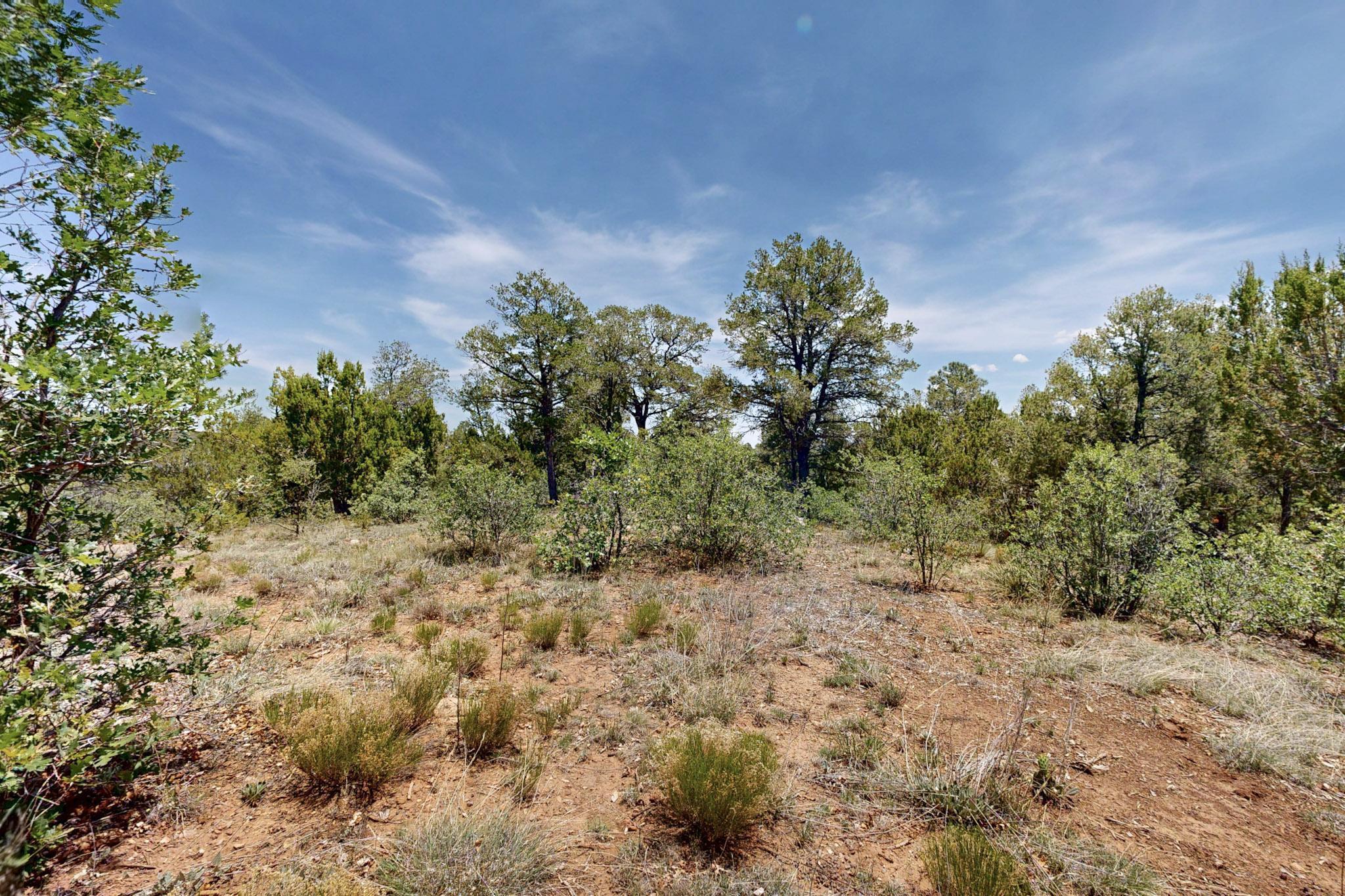 Tract V-A-1 4th of July Road