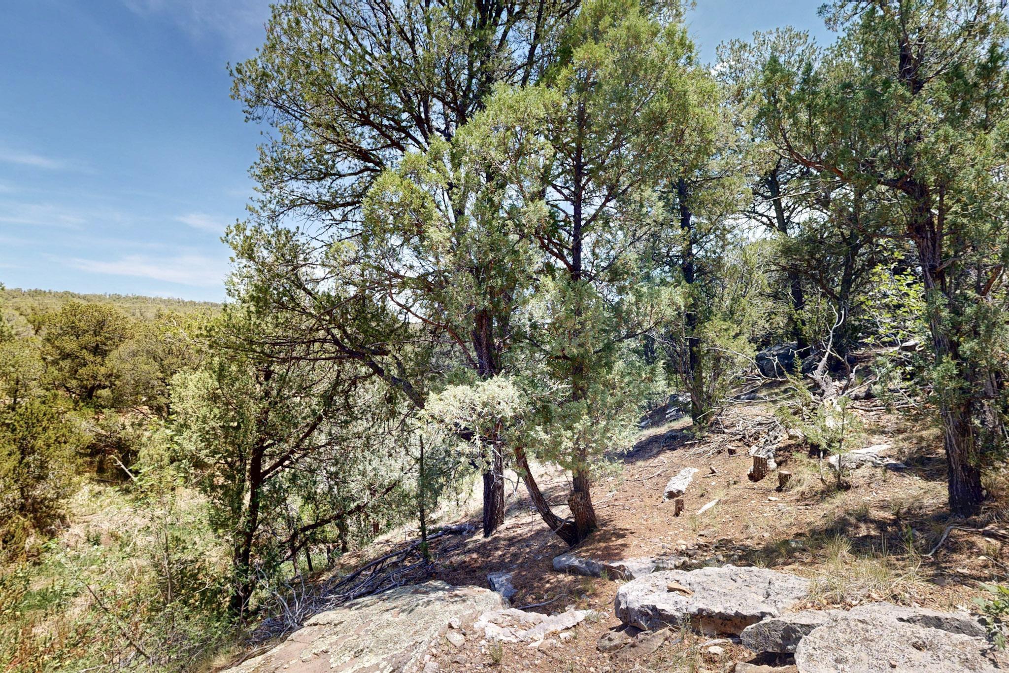 Tract V-A-1 4th of July Road