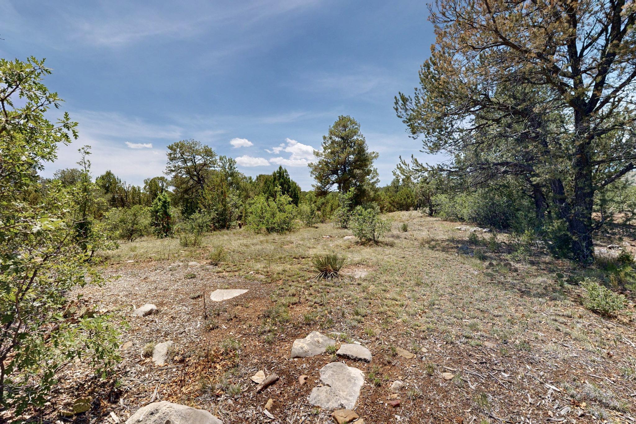 Tract V-A-1 4th of July Road