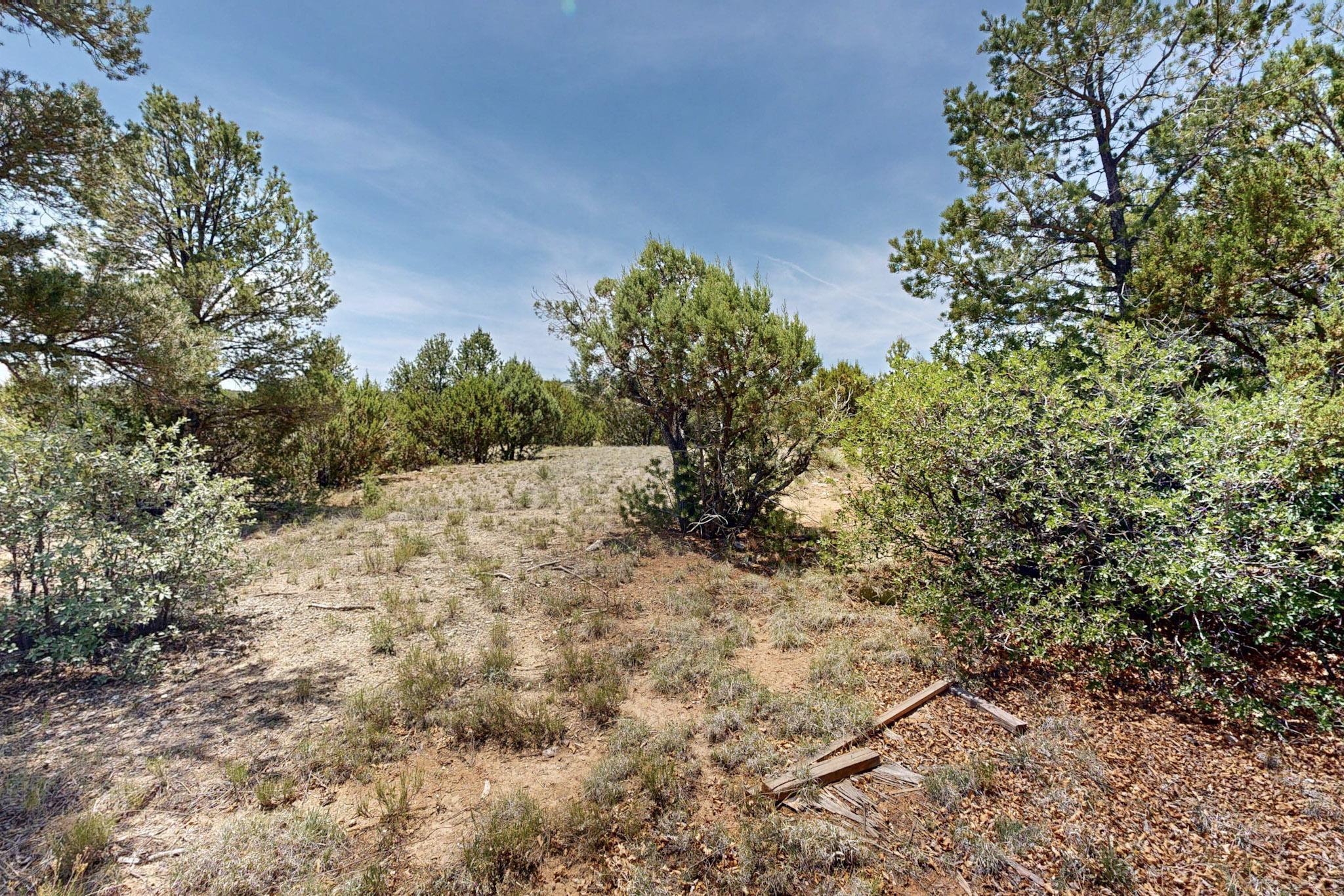 Tract V-A-1 4th of July Road