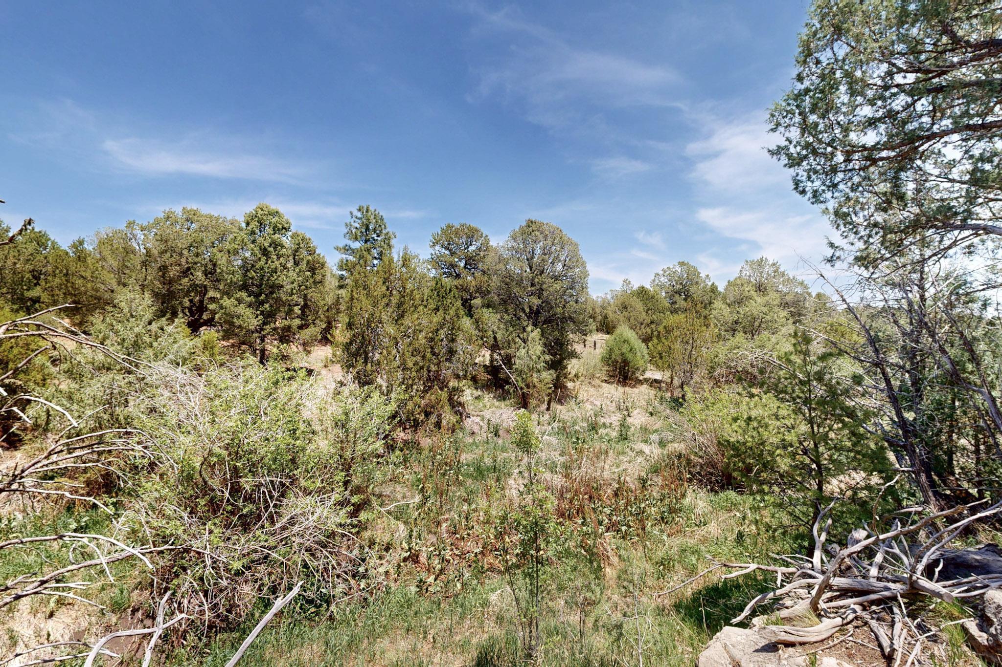 Tract V-A-1 4th of July Road