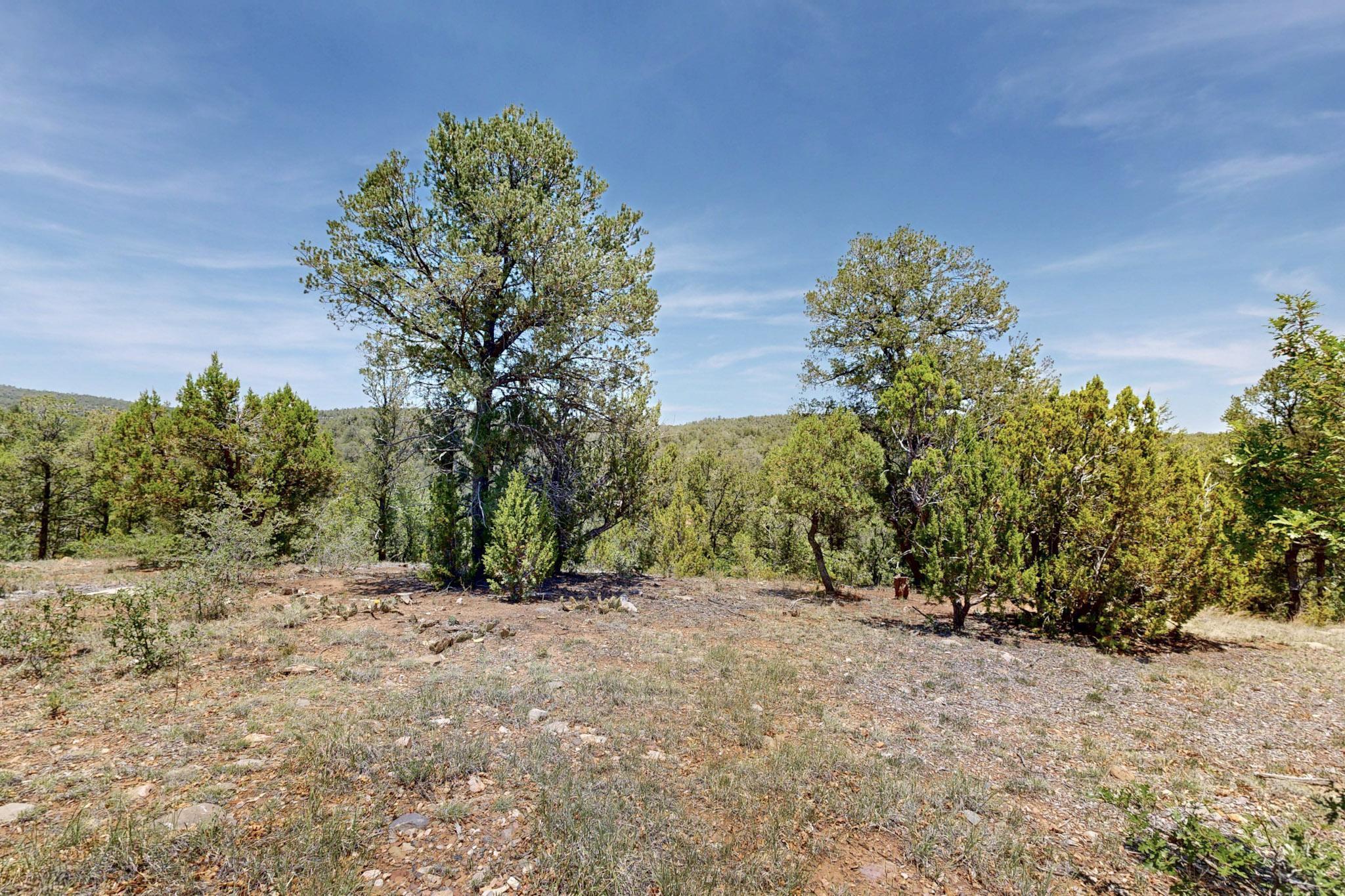 Tract V-A-1 4th of July Road