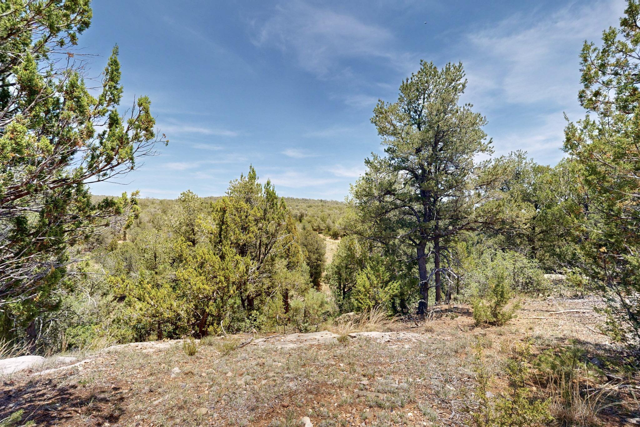 Tract V-A-1 4th of July Road