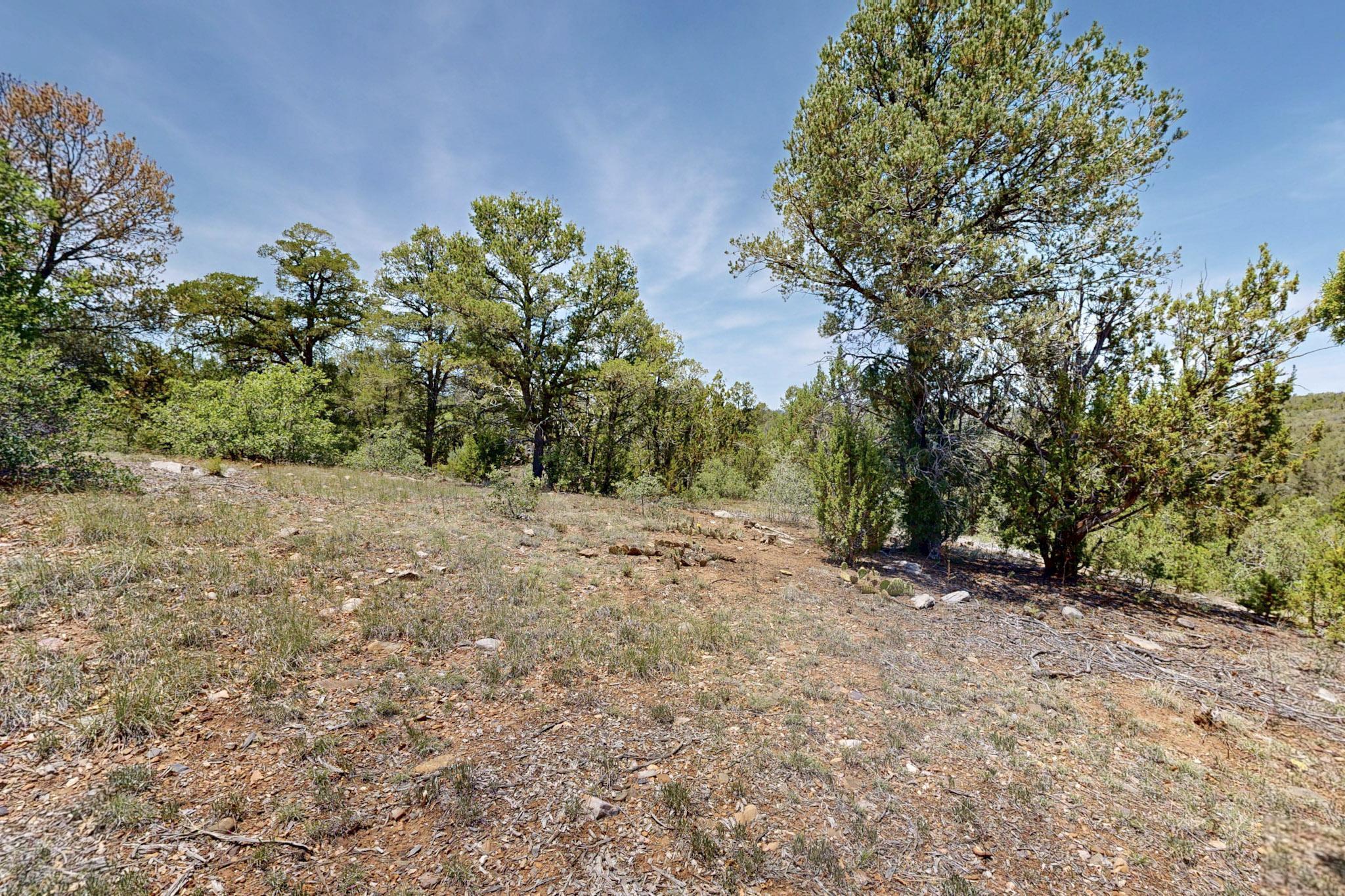 Tract V-A-1 4th of July Road