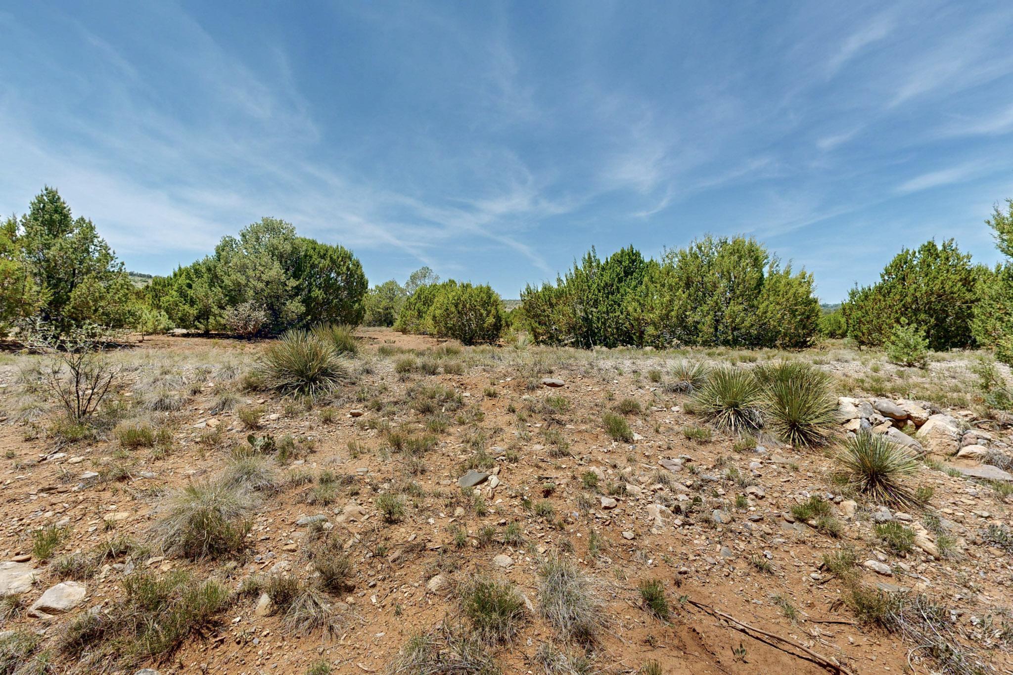 Tract V-A-1 4th of July Road