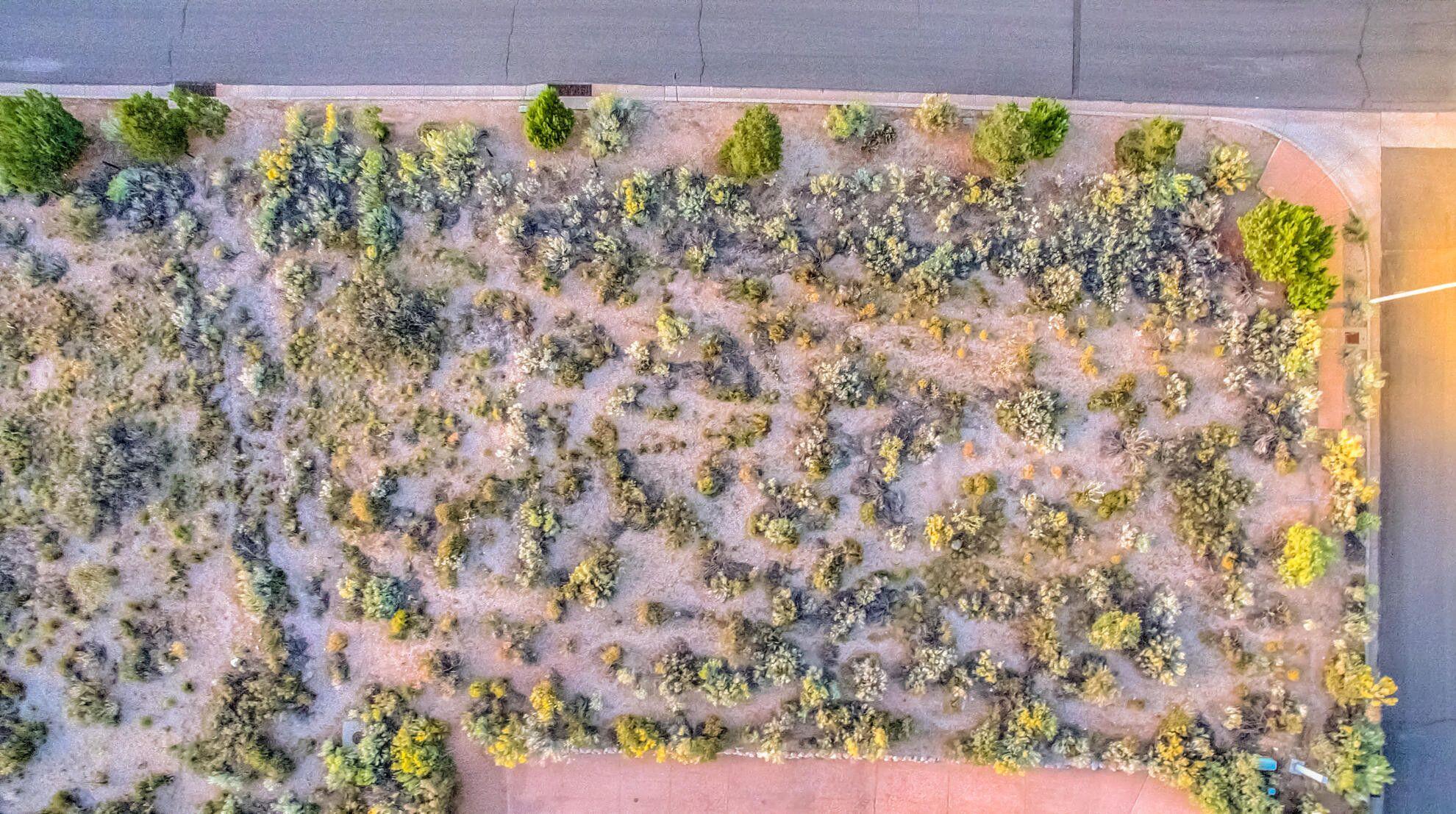 4915 Cresta Del Sur Court NE