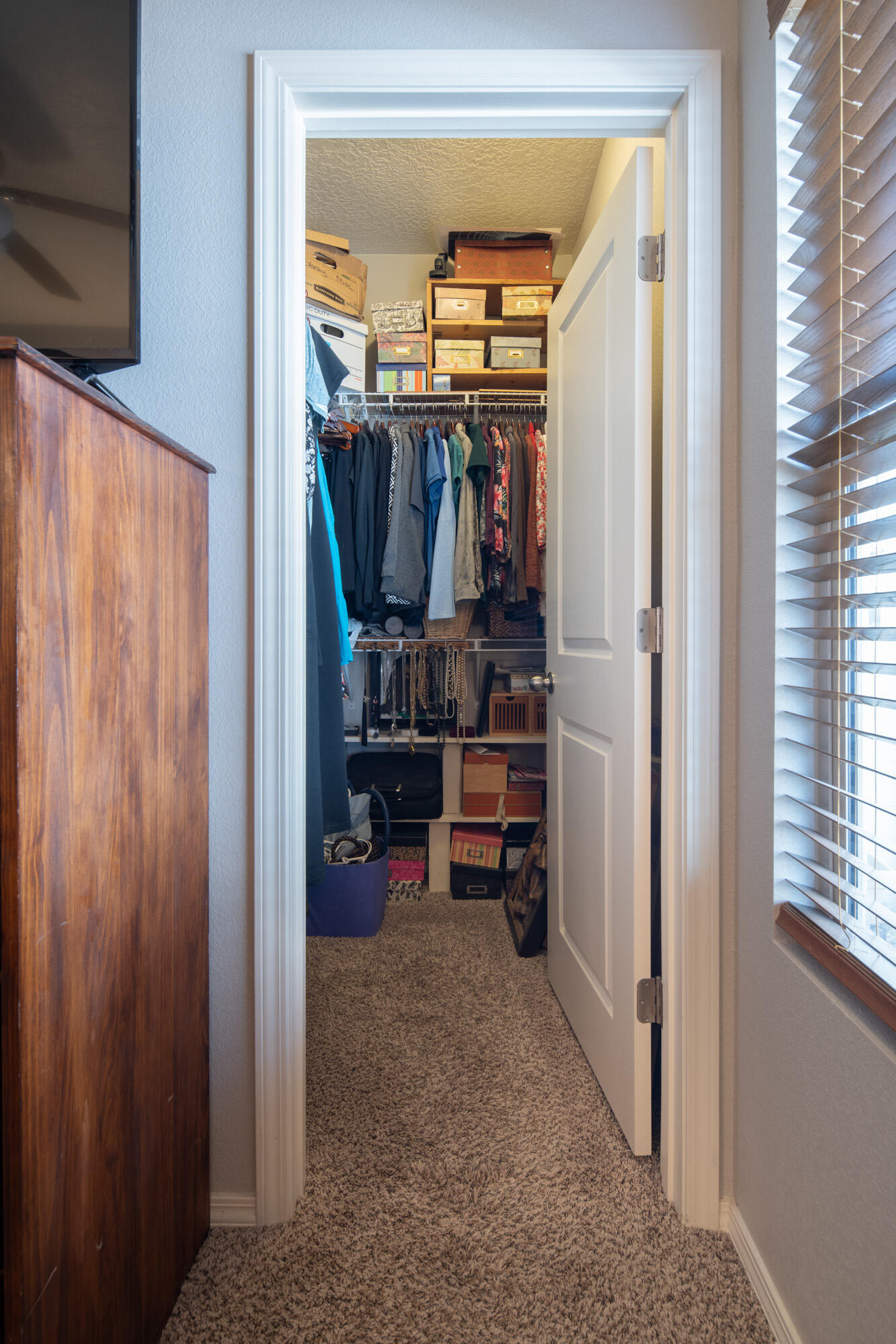 1978 CASTLE PEAK Loop NE