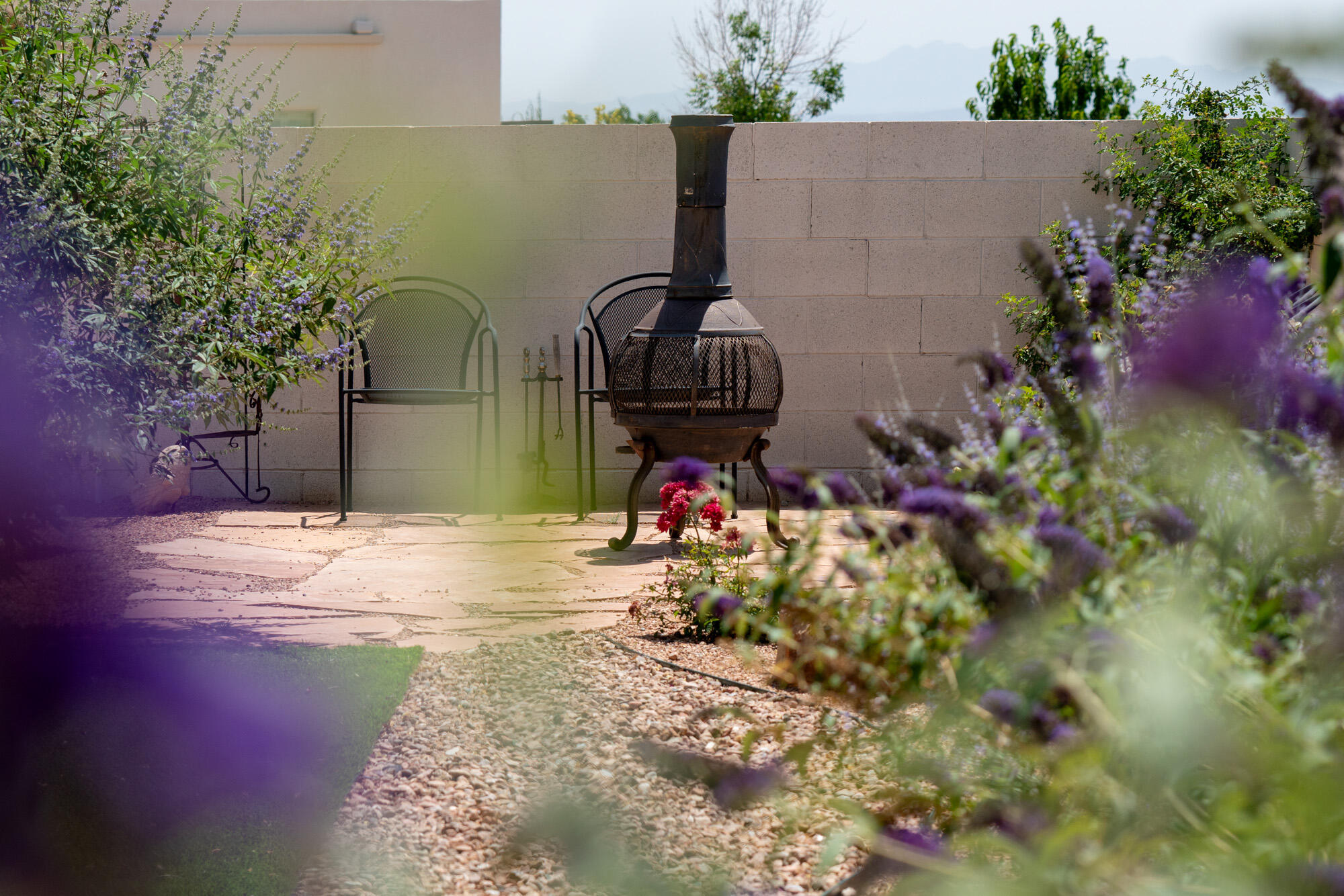 1978 CASTLE PEAK Loop NE