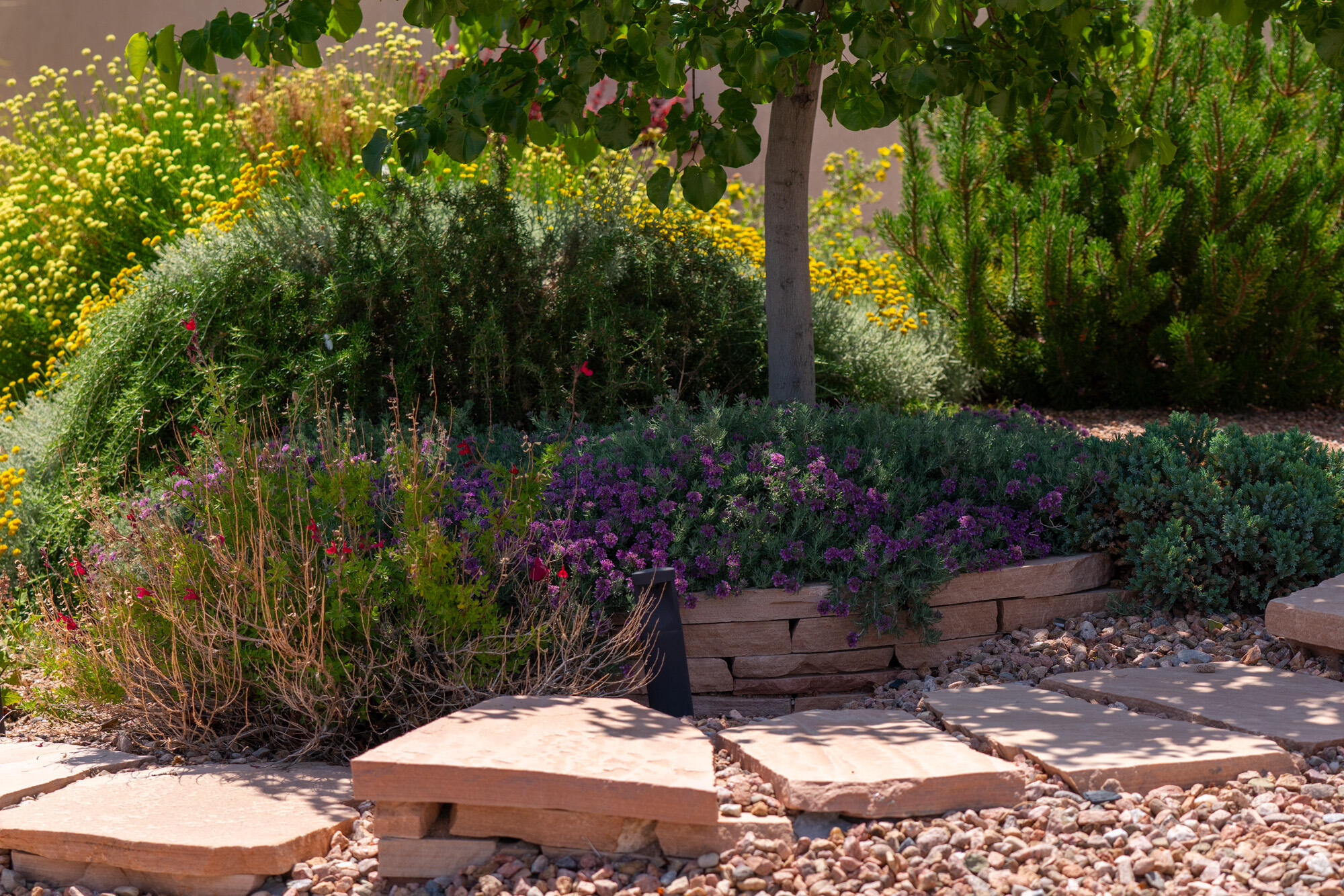 1978 CASTLE PEAK Loop NE