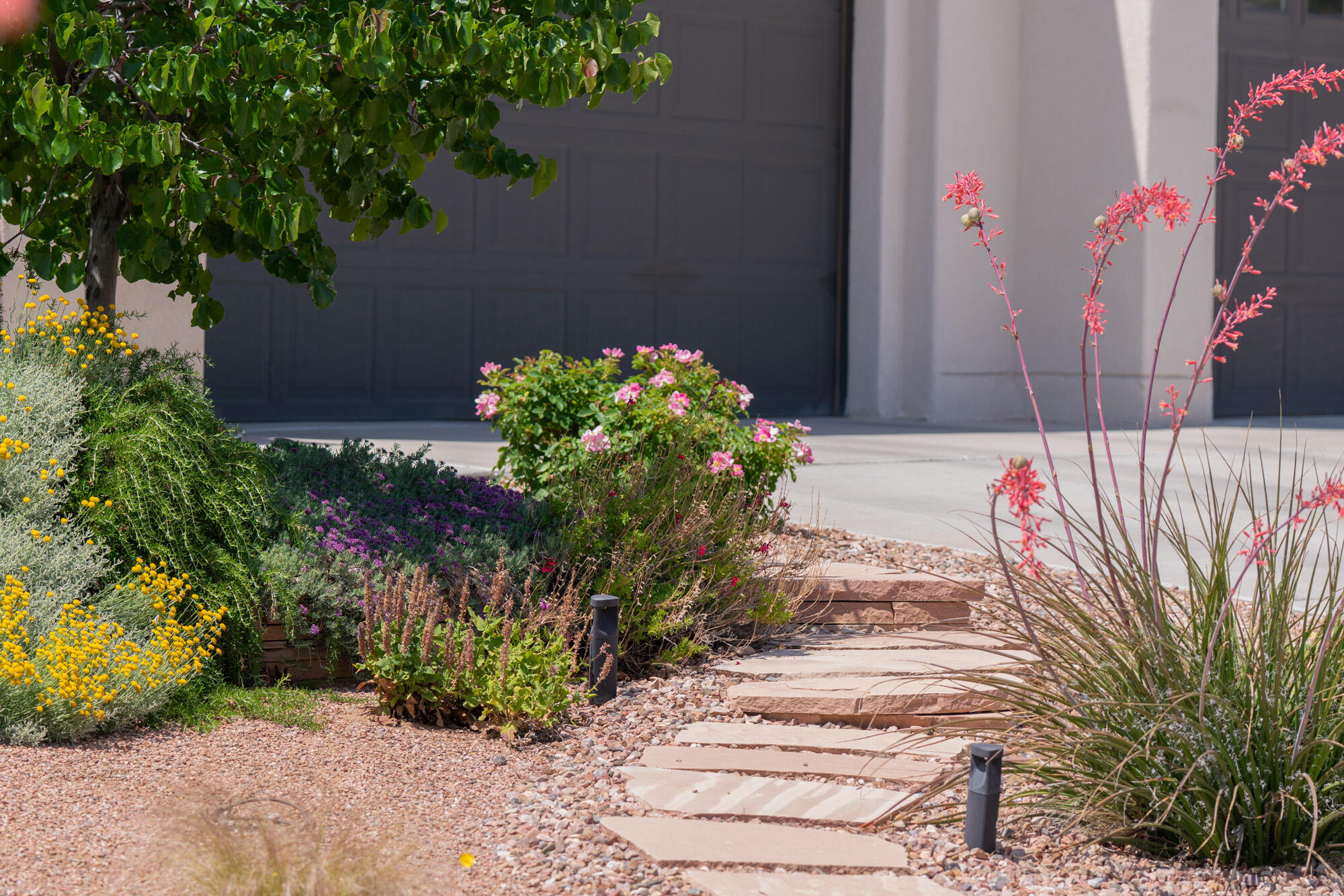 1978 CASTLE PEAK Loop NE