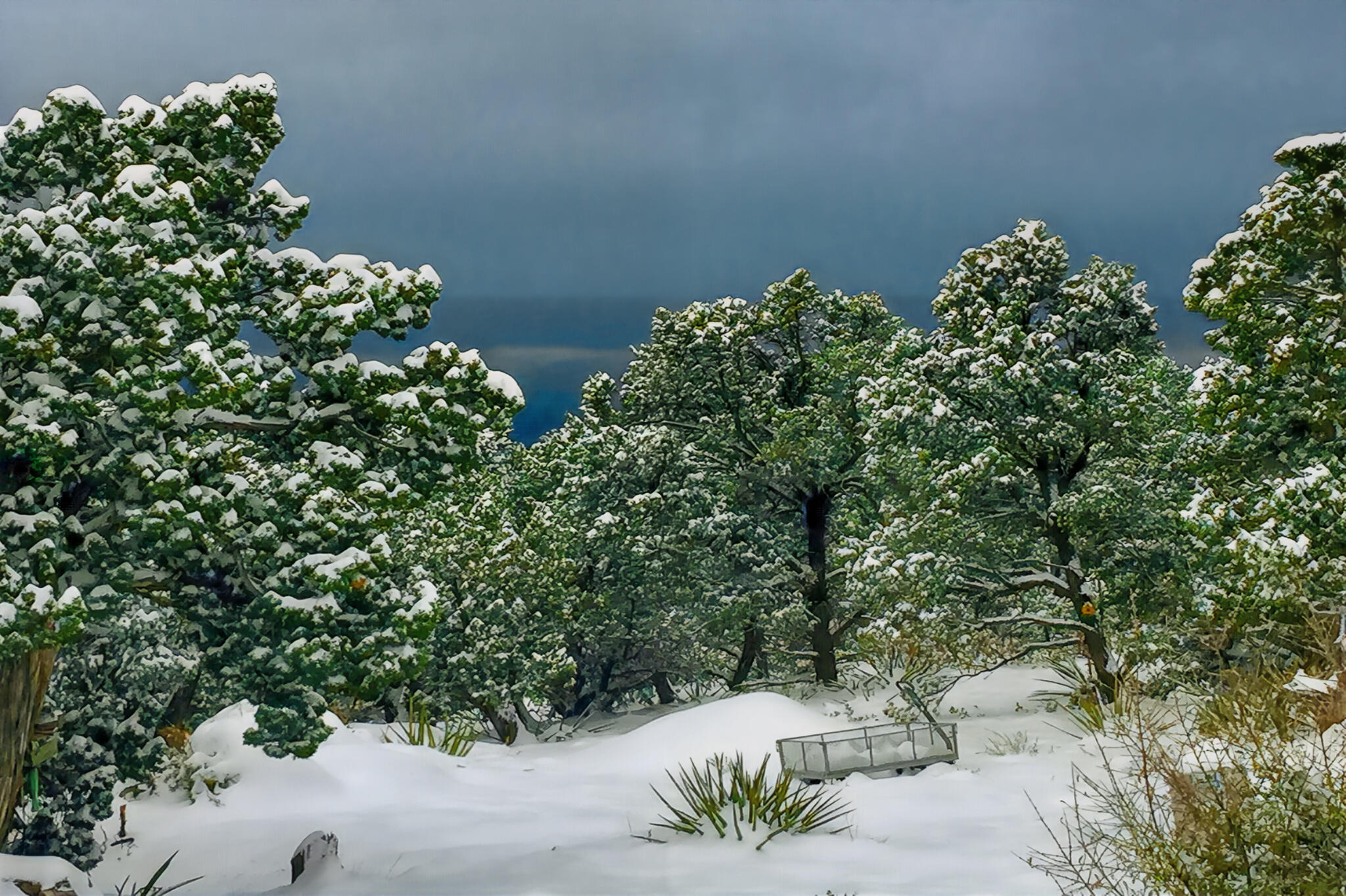 10 CALLE POR LOS CABALLOS