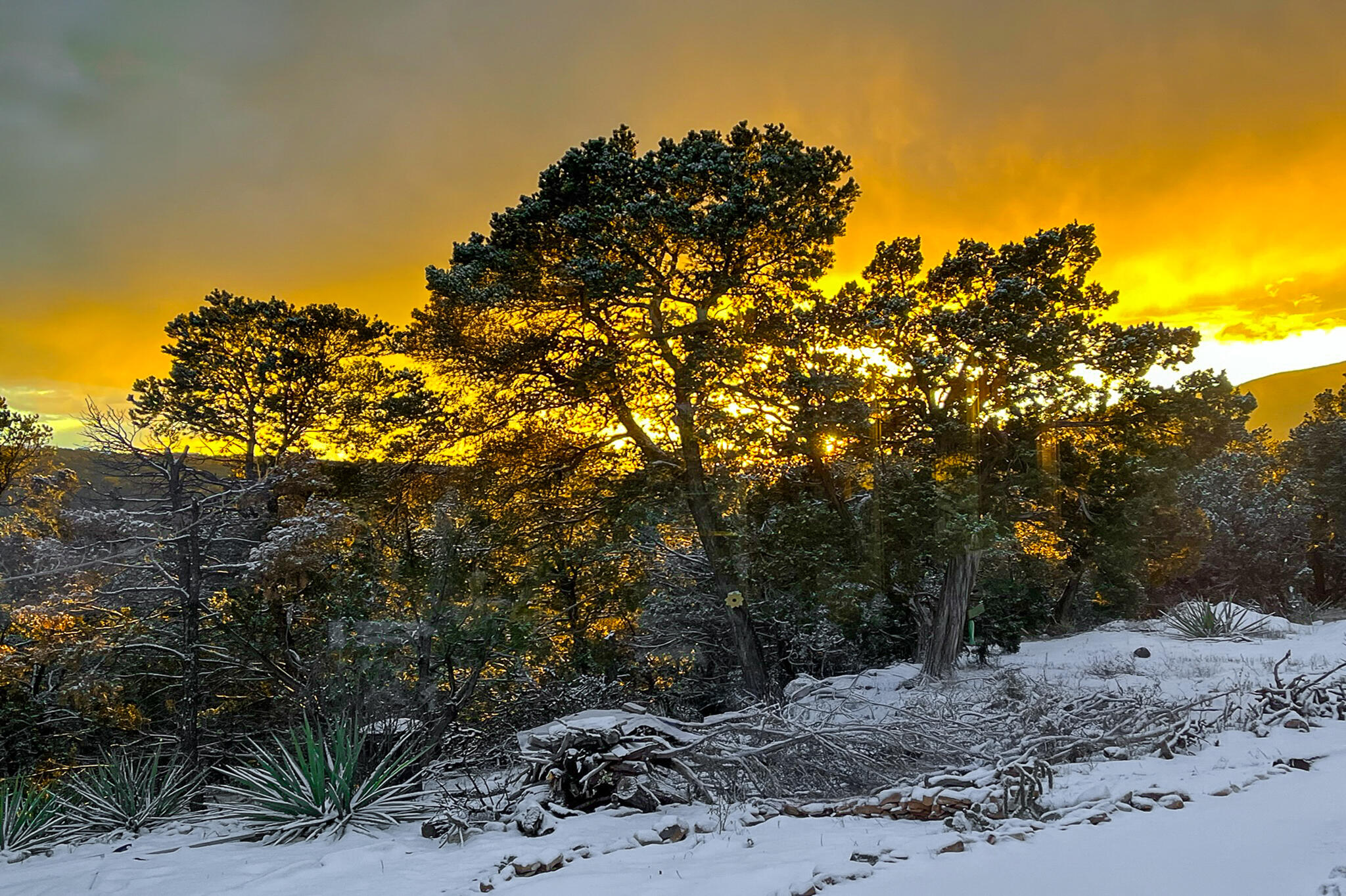 10 CALLE POR LOS CABALLOS
