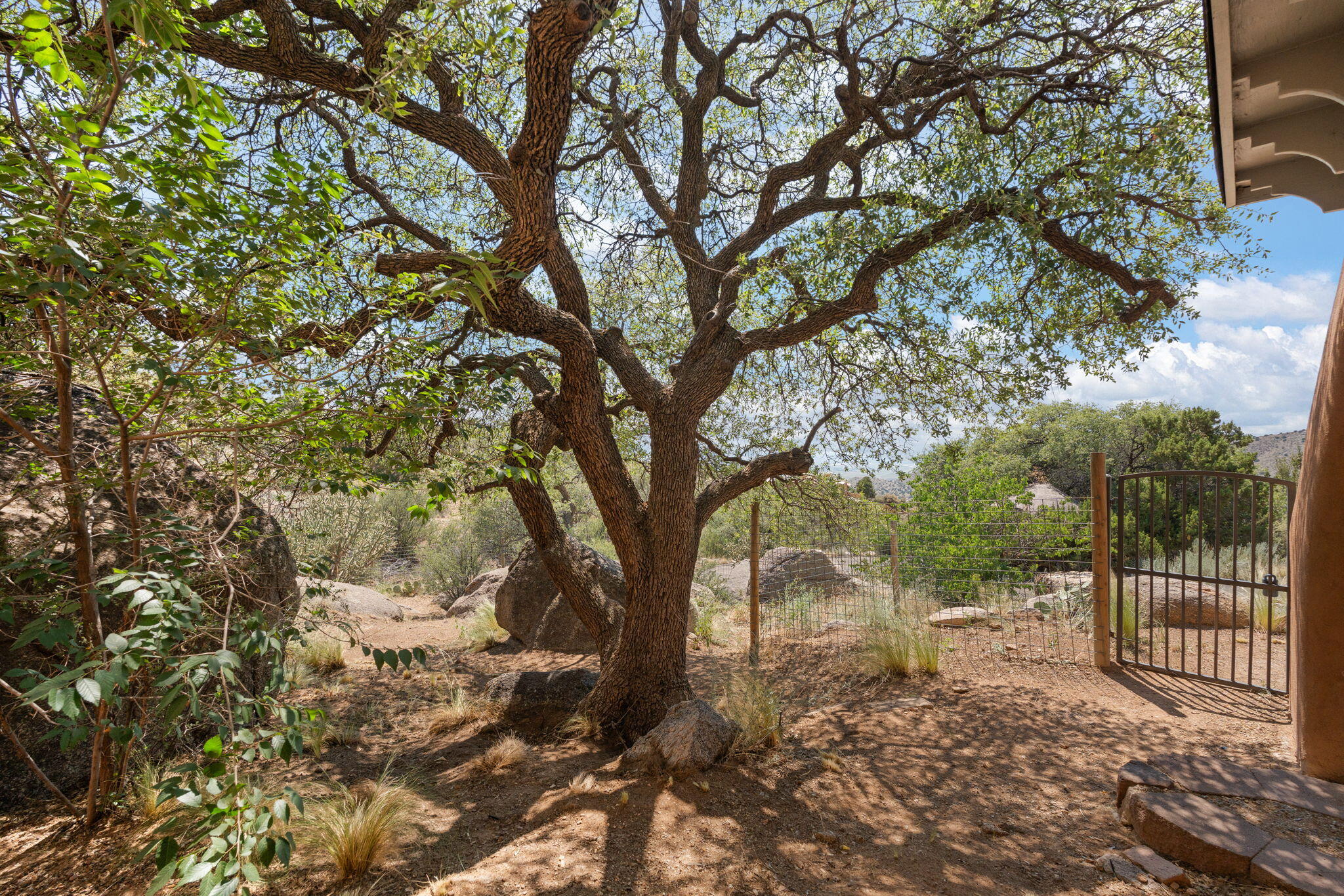 10 La Luz Trail NE