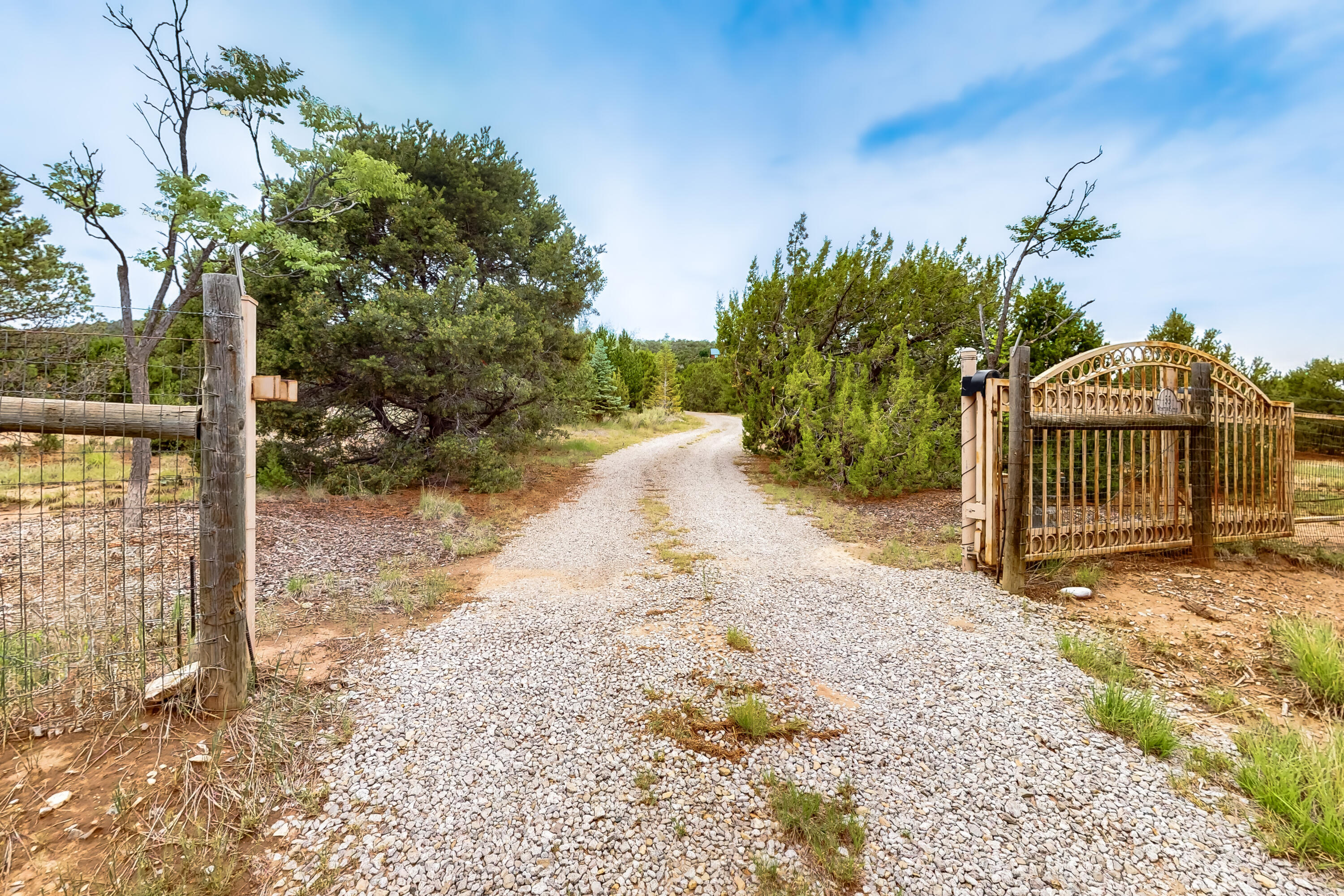 55 WESTERN SADDLE Drive