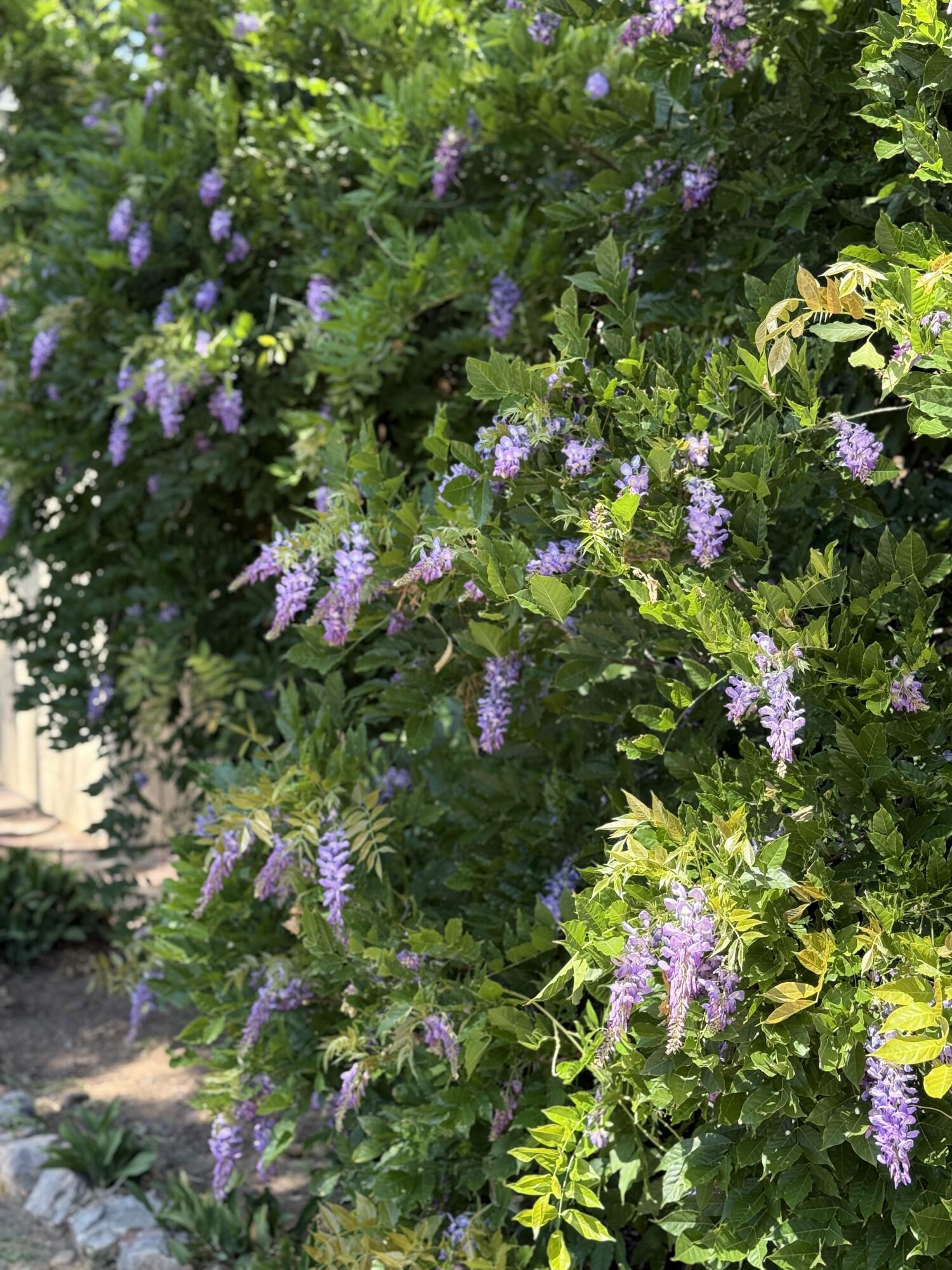 1114 CLANCY Drive NE