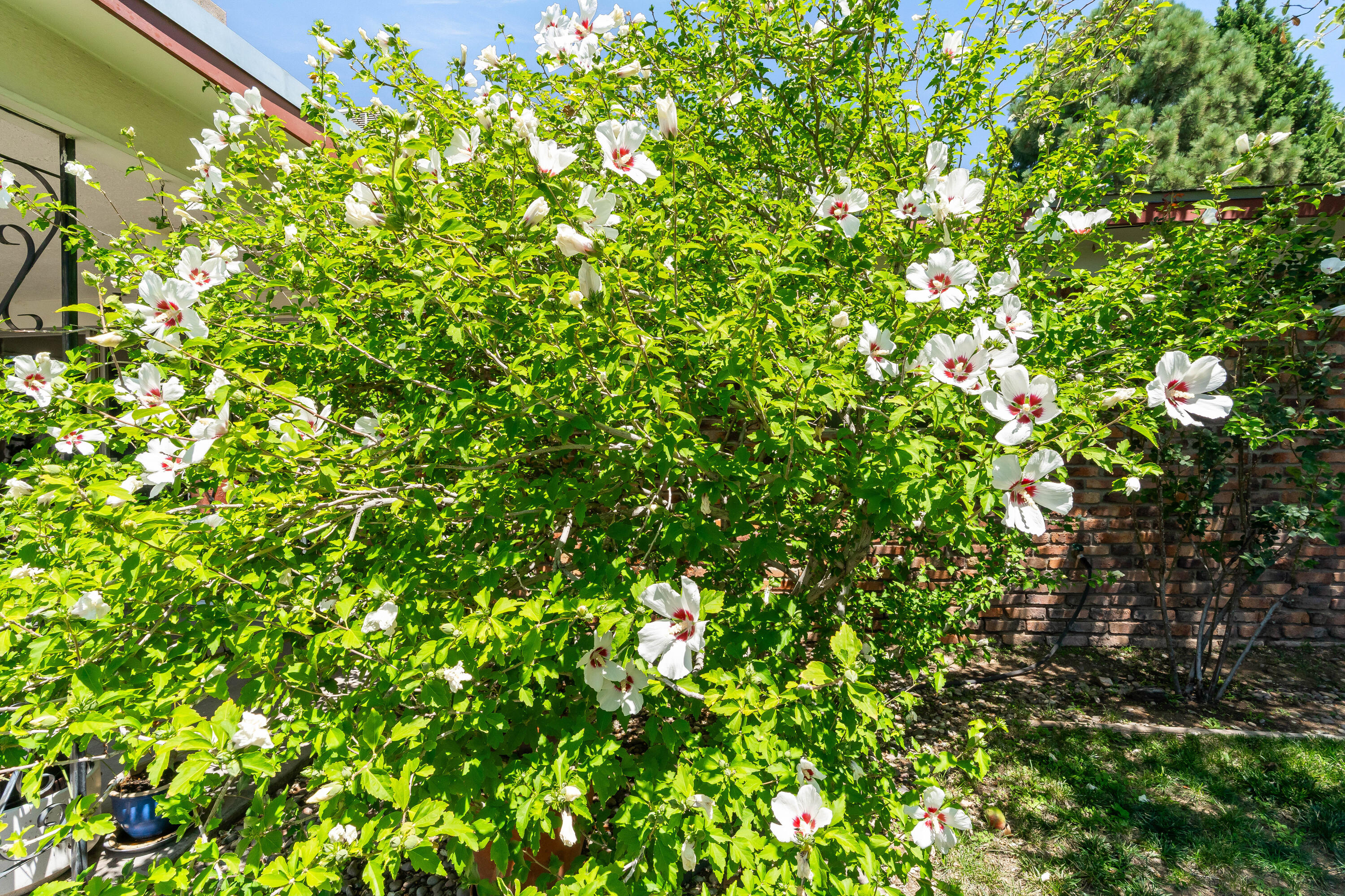 8130 AVENIDA LA PRESTINA NE