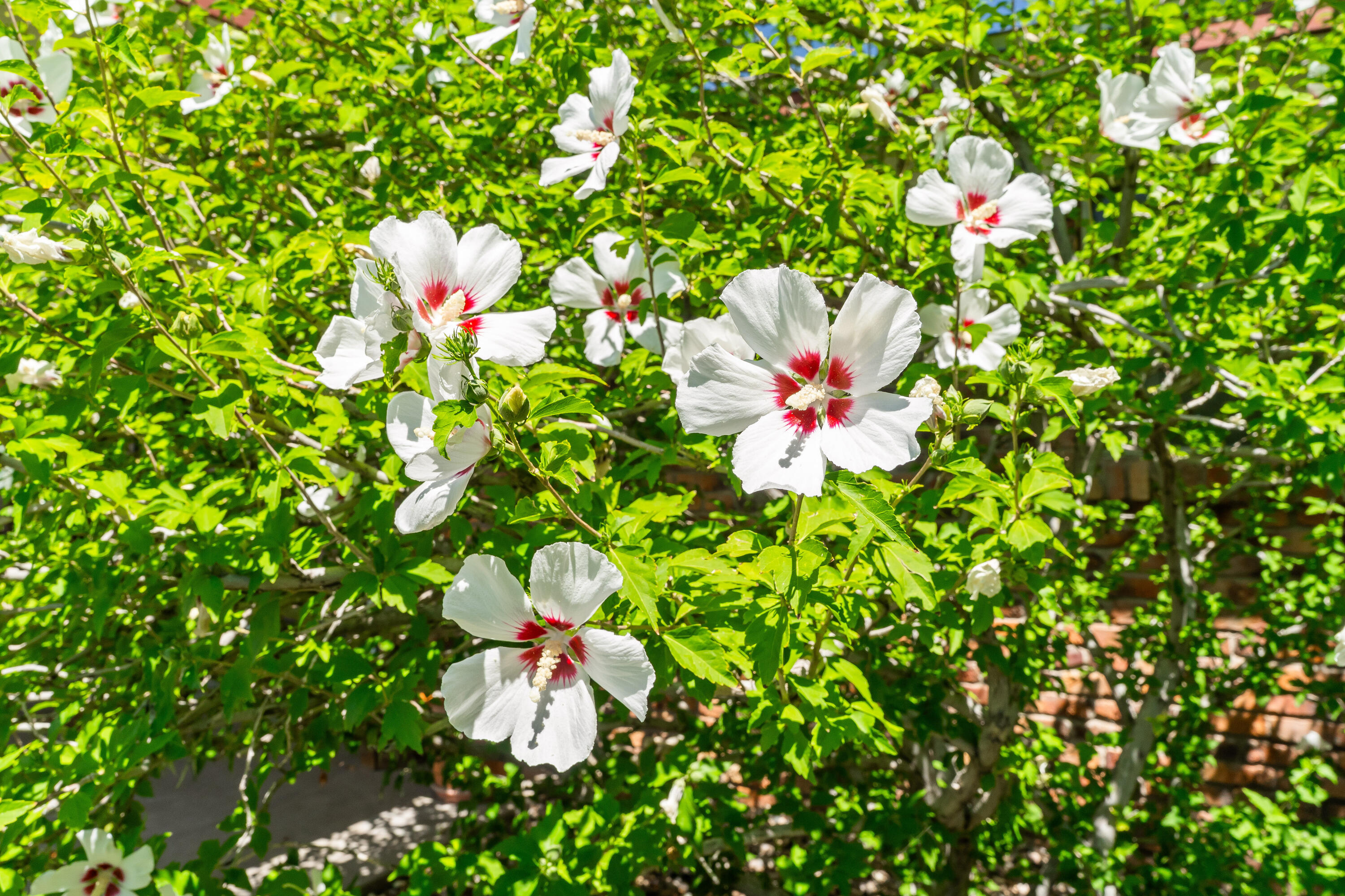 8130 AVENIDA LA PRESTINA NE