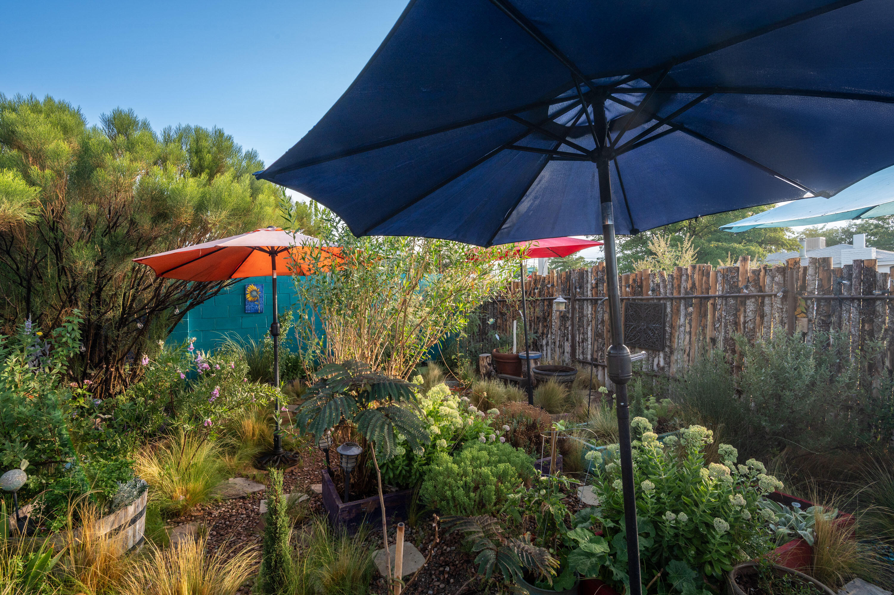 817 LAGUAYRA Drive NE