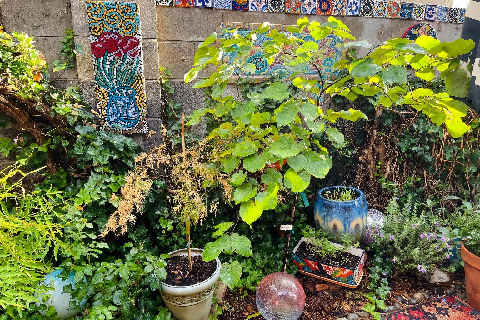 817 LAGUAYRA Drive NE